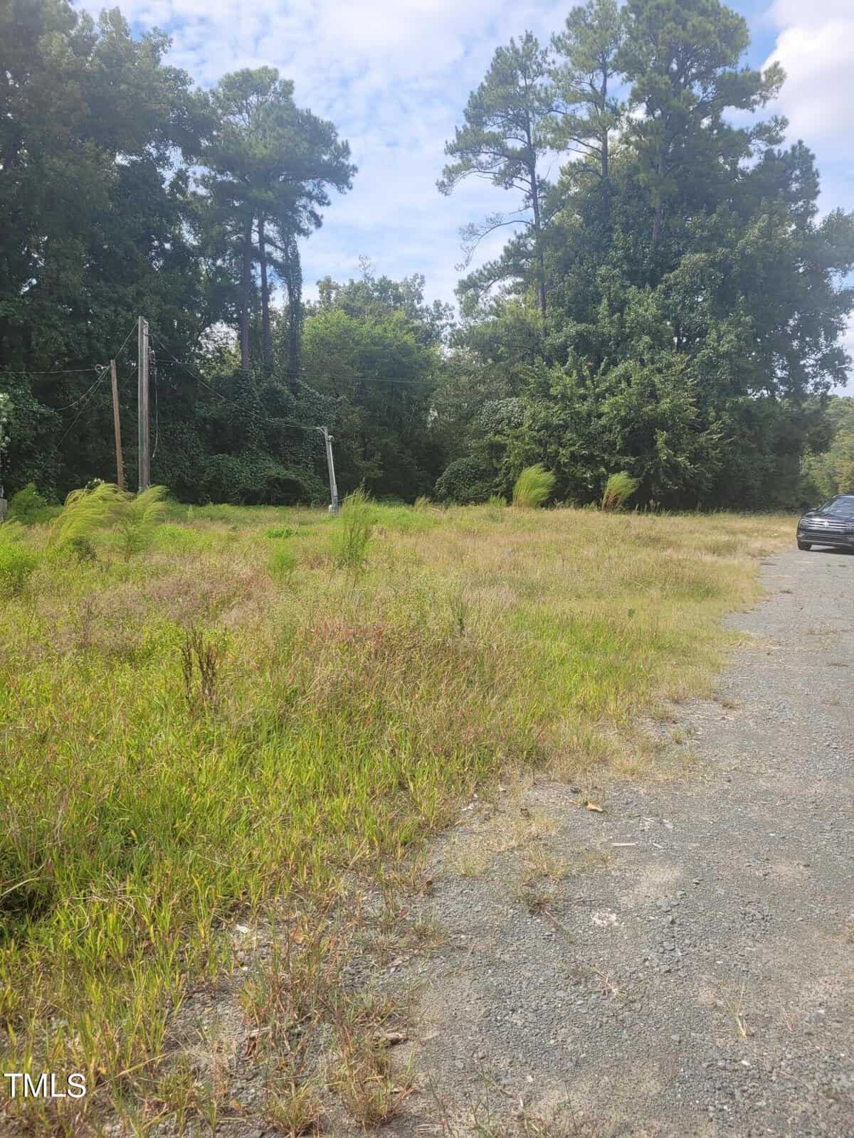 A grassy field with overgrown weeds and a few scattered trees under a partly cloudy sky. A gravel path curves off to the right, and part of a car is visible on the right edge of the image.