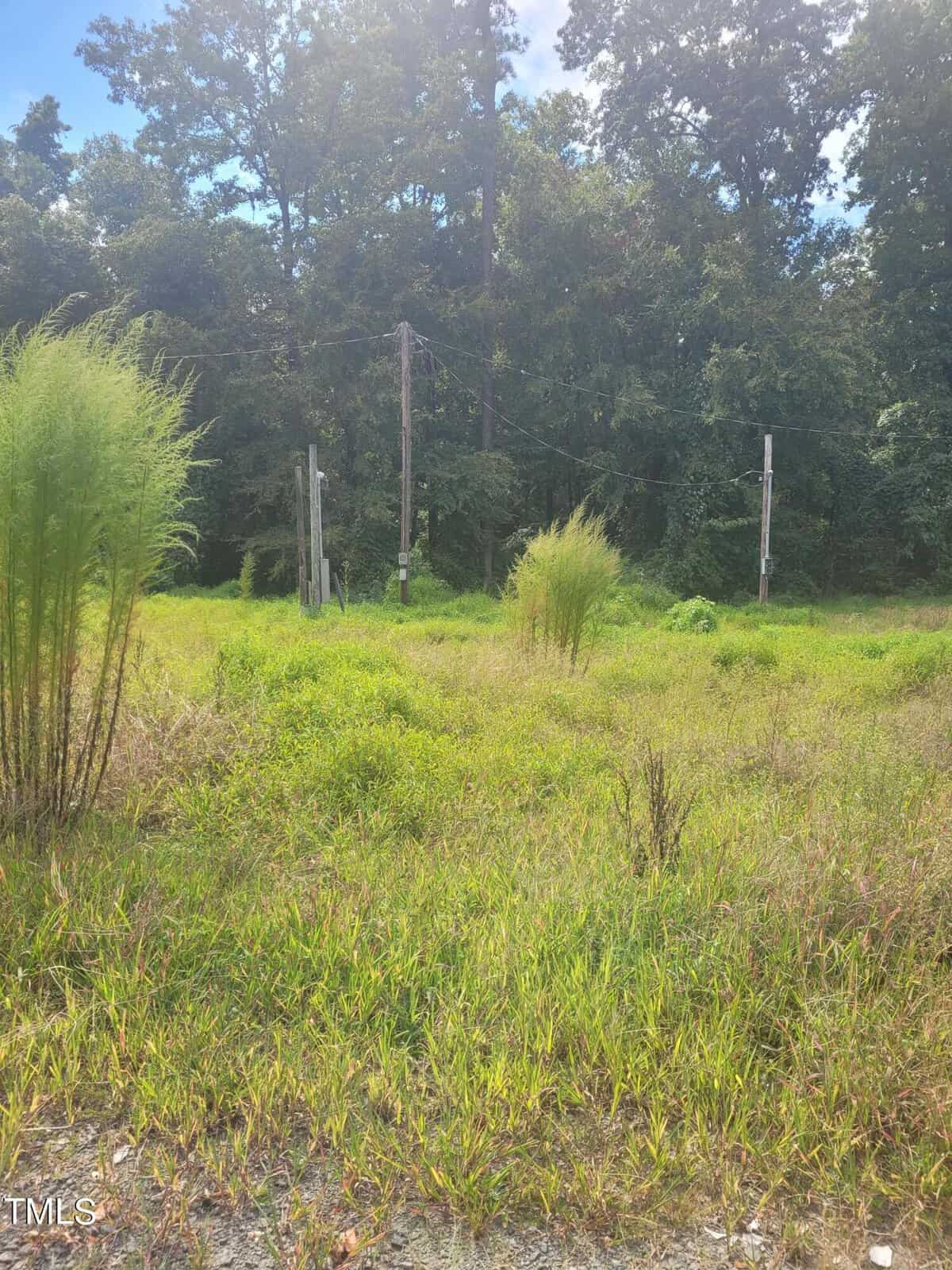 A grassy field with tall weeds stretches across 2189 Gate 2 Road in Butner. In the background, wooden utility poles stand before a line of dense trees. The partly cloudy sky adds to the overgrown and natural charm of this serene landscape.
