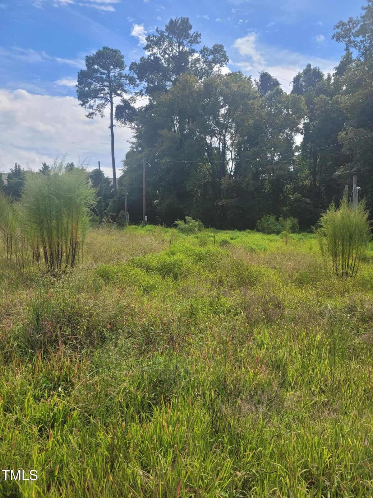 Overgrown field with tall grasses and sparse trees under a blue sky with scattered clouds. A few utility poles are visible in the background.