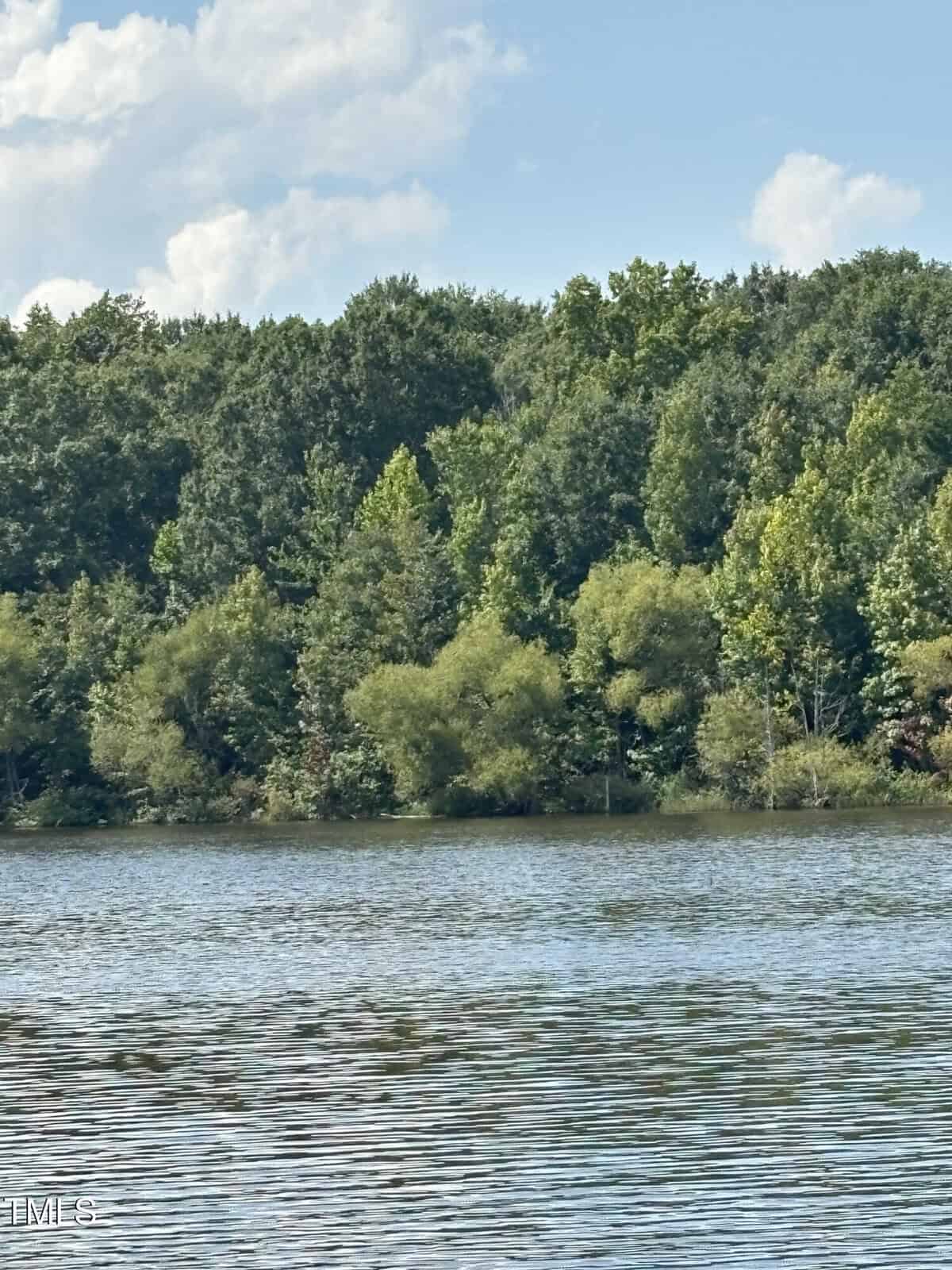 A serene lake is in the foreground, reflecting the clear blue sky above. In the background, a dense line of lush green trees stretches across the horizon, beneath scattered white clouds.