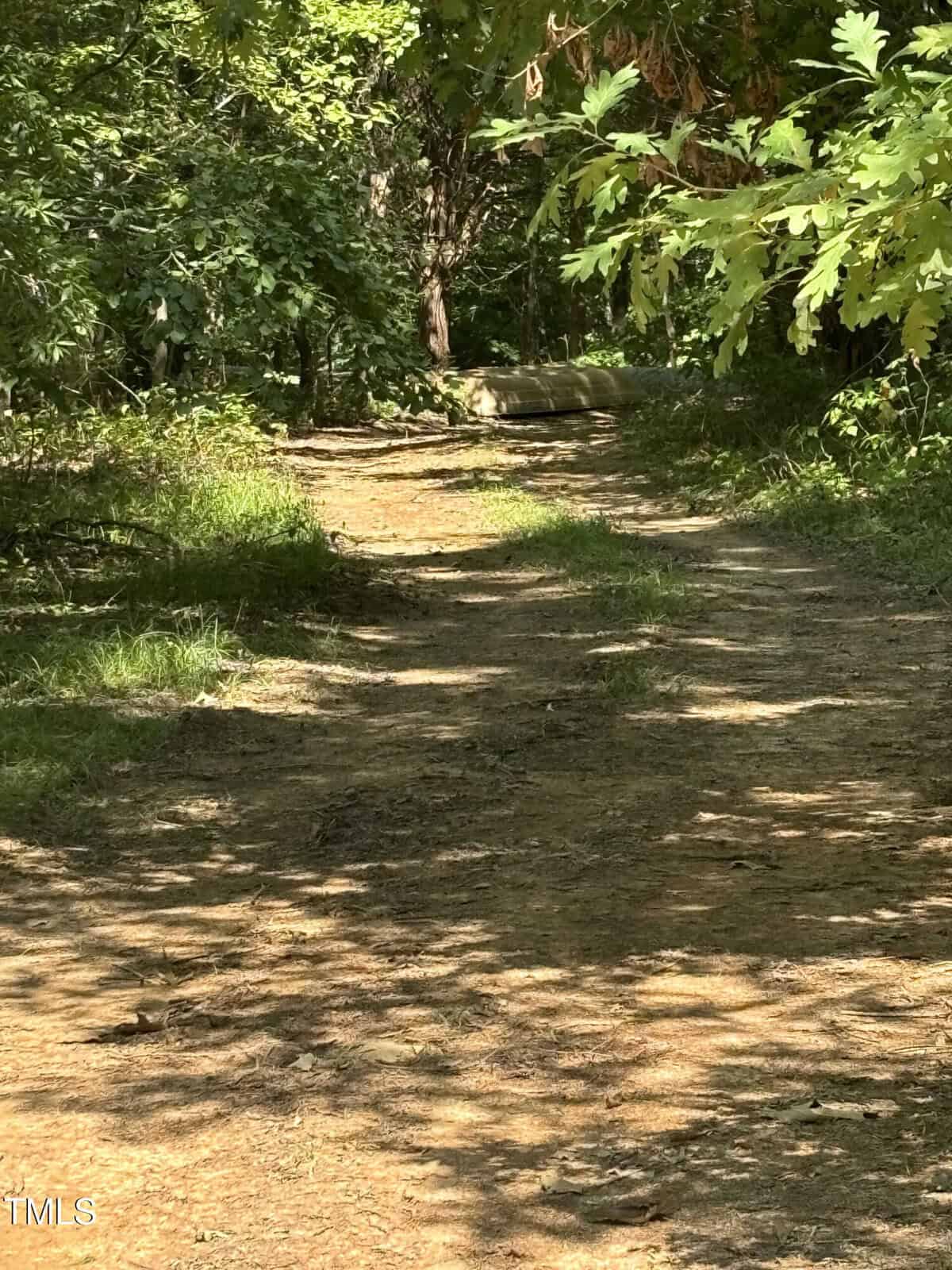 A dirt path surrounded by dense green foliage, leading through a forested area with dappled sunlight filtering through the trees. The ground is uneven with patches of grass and shadow.