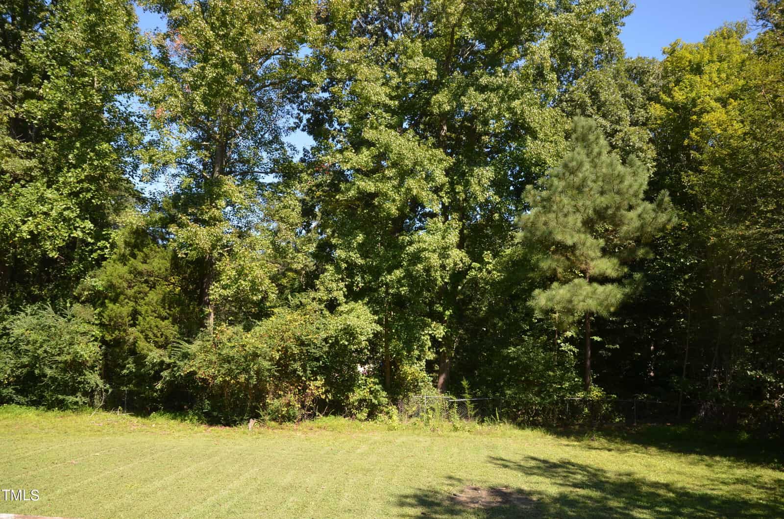 A grassy yard with a line of dense, tall trees in the background under a clear blue sky. Sunlight creates shadows on the grass near the tree line.
