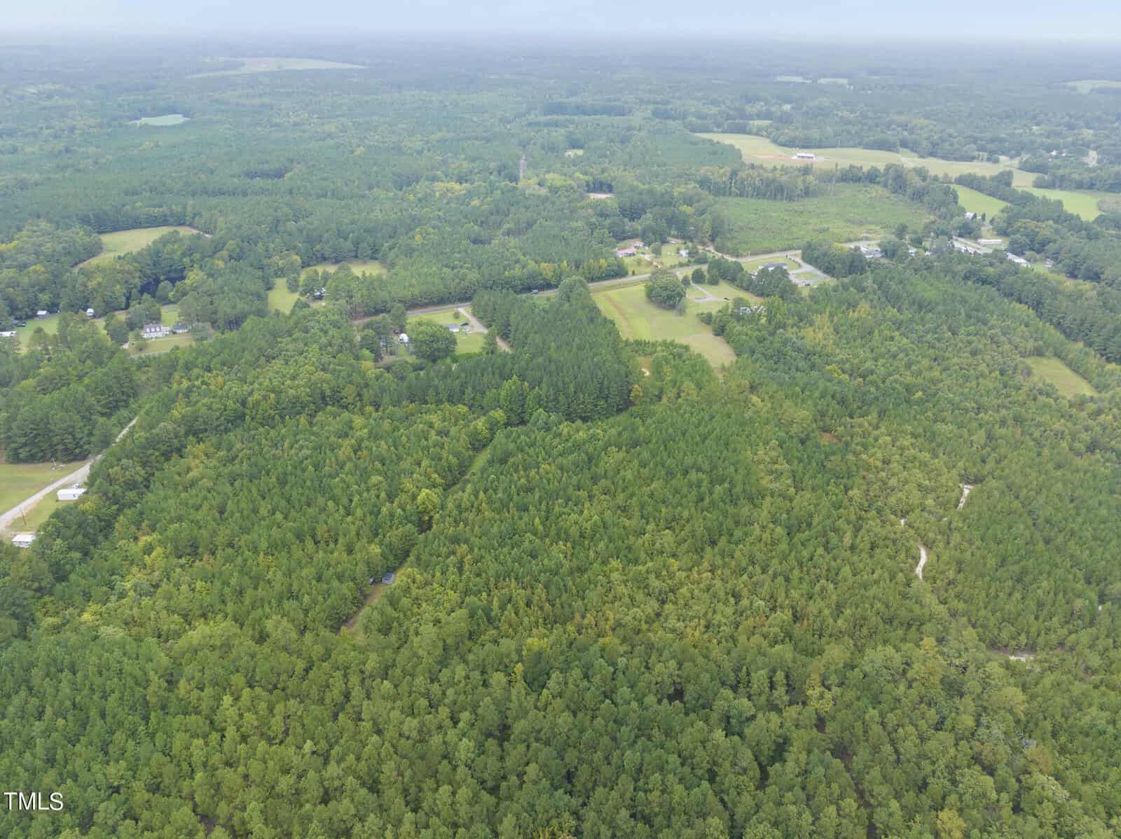 Aerial view of a vast, lush green forest landscape with clusters of trees and scattered clearings. A few buildings and roads are visible amidst the dense foliage, creating a patchwork of natural and rural elements under a cloudy sky.