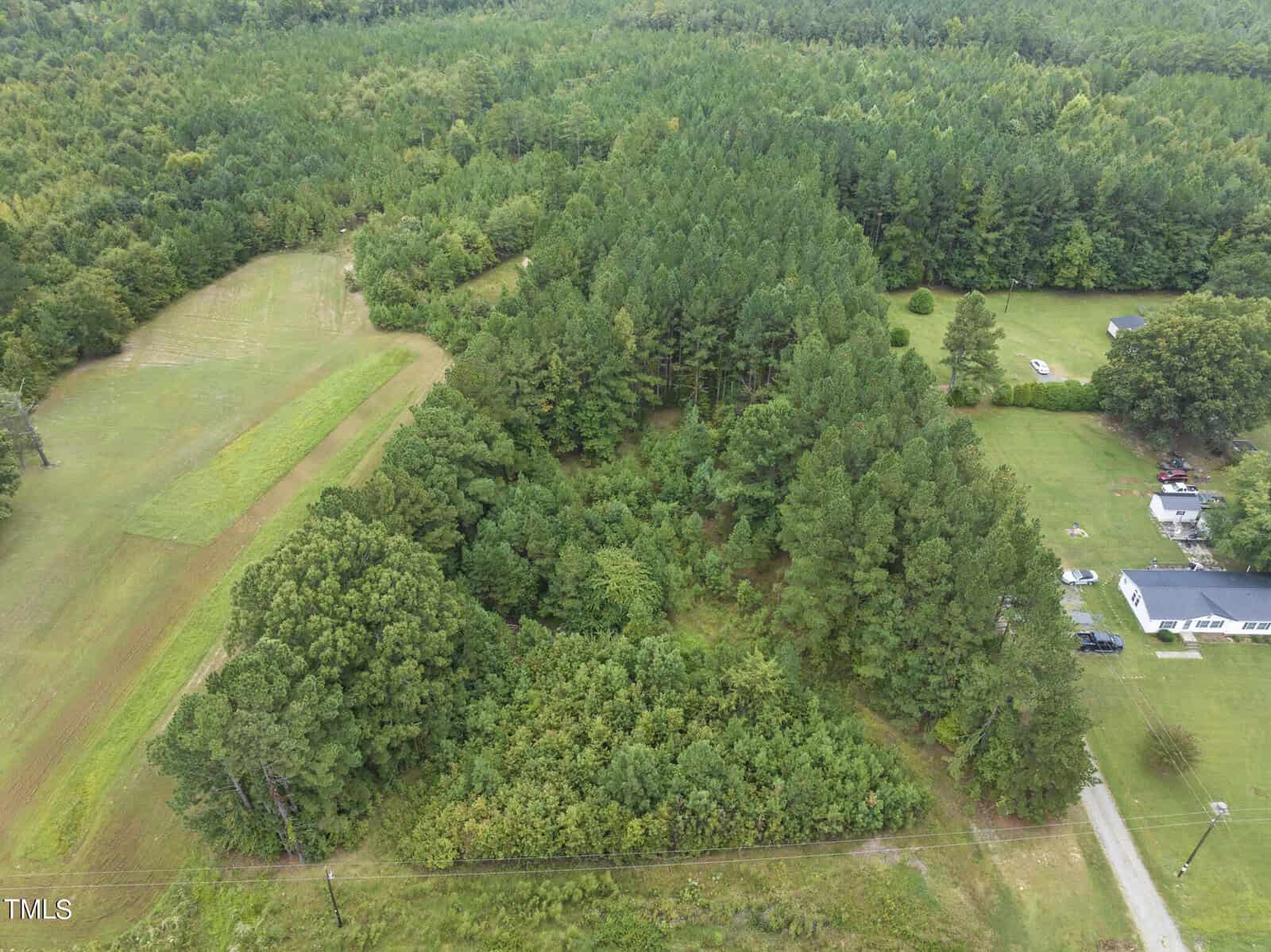 Aerial view of a lush, green forested area surrounded by fields and scattered houses. A dirt road runs alongside the trees, and the landscape is dense with various shades of green foliage.