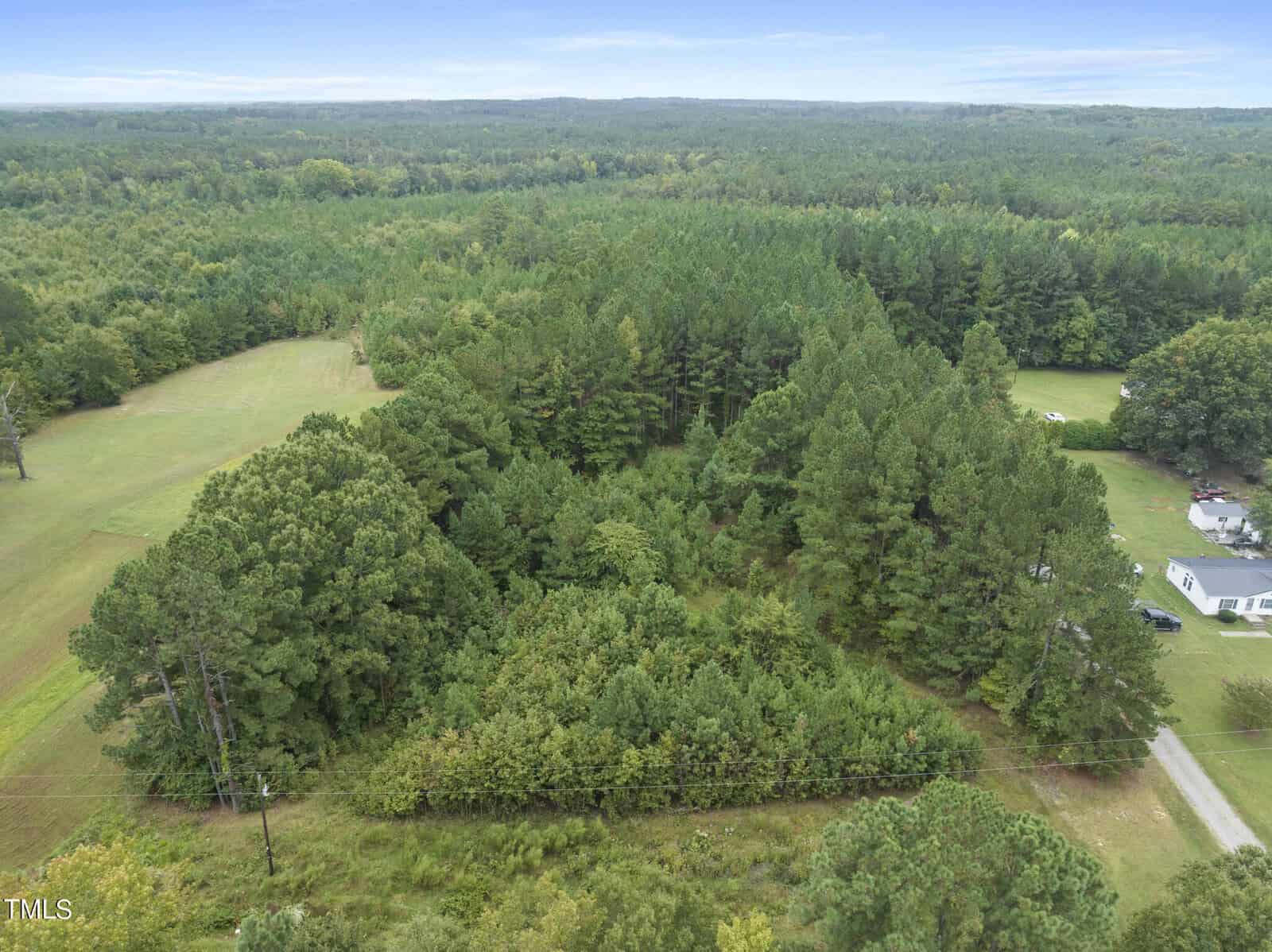 Aerial view of a lush green forest surrounded by open grass fields in a rural area. Nearby, there is a small white house with a sloped roof and a few trees interspersed in the landscape under a clear blue sky.