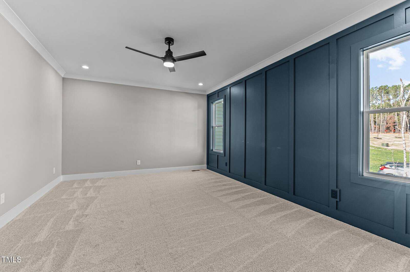 Empty room with beige carpet, light gray walls, a dark blue accent wall with panel detailing, two windows, and a black ceiling fan. Natural light comes through the windows, showing a view of trees outside.