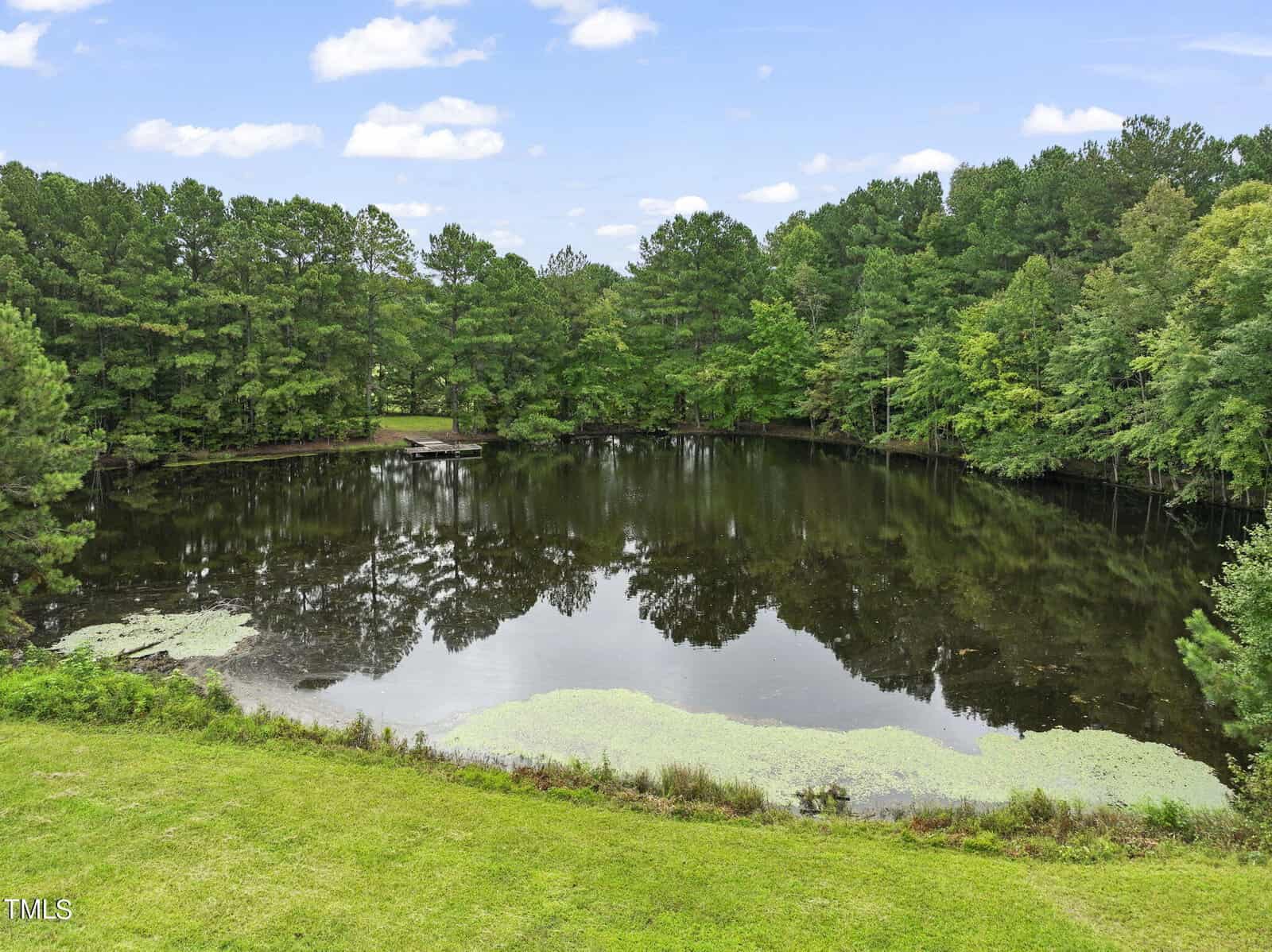 A serene pond surrounded by dense, lush green trees. The water reflects the tree line and cloudy sky above. A small wooden dock extends into the pond, with patches of aquatic plants near the shore. A grassy area is in the foreground.
