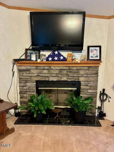 A stone fireplace with a wooden mantel is topped with a flat-screen TV. Below the TV are framed photos, a folded American flag in a display case, and decorative items. Two potted plants sit on the black tile hearth. The corner is adorned with fireplace tools.