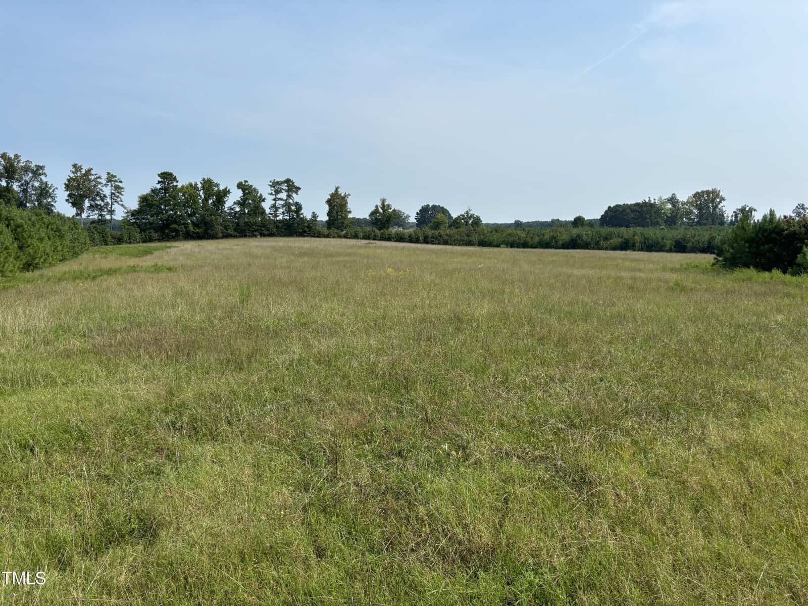 A wide grassy field stretches towards a distant line of trees under a clear sky, just off Huntsboro Road. The expanse is lush and green, suggesting a peaceful rural or countryside setting reminiscent of the serene landscapes around Oxford.