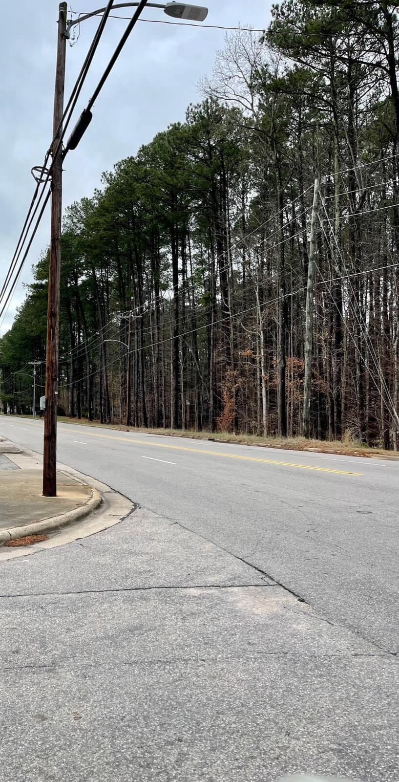A photo of a quiet, empty street with a single utility pole on the left side. The street bends to the left, leading into a densely wooded area with tall, thin trees. Overcast sky adds a muted atmosphere to the scene. Power lines run parallel to the road.