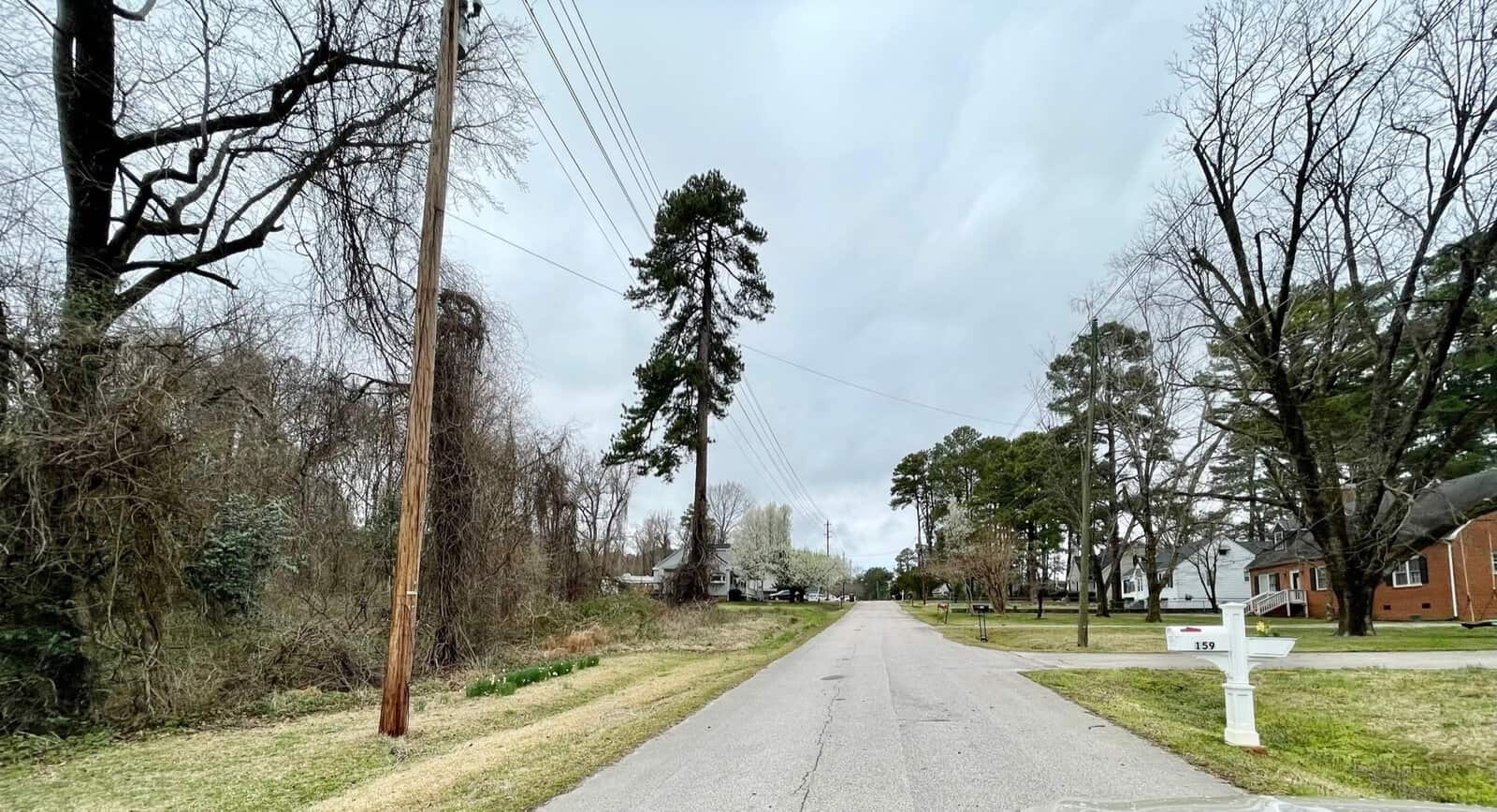 A narrow, paved road stretches into the distance, bordered by leafless trees and overgrown vegetation on the left. On the right, there are houses, a white mailbox labeled with "139," and more trees with some greenery. The sky is overcast.
