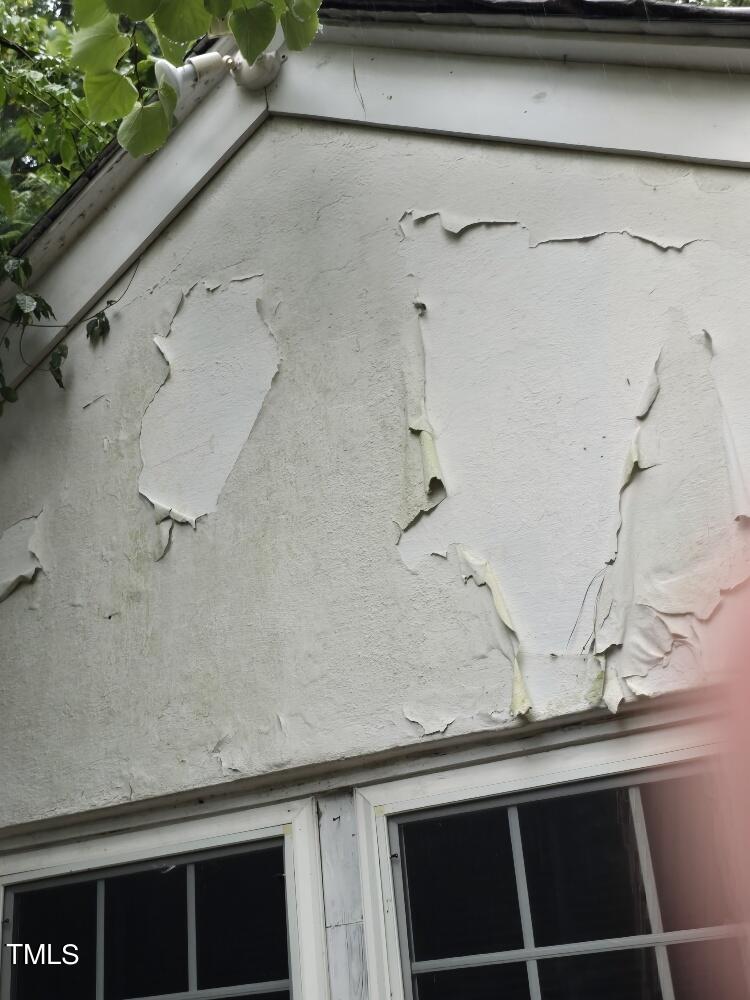 Close-up of an exterior house wall with peeling white paint. The wall shows significant areas where the paint has detached, revealing layers beneath. Two windows with black frames and white trim are visible at the bottom, and some greenery is seen at the top left.