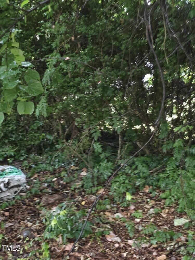 A heavily wooded area with dense foliage and underbrush. The ground is covered with leaves and small branches. There is a stack of white bags or materials on the left side partially hidden by the greenery. Sunlight filters through the leaves.