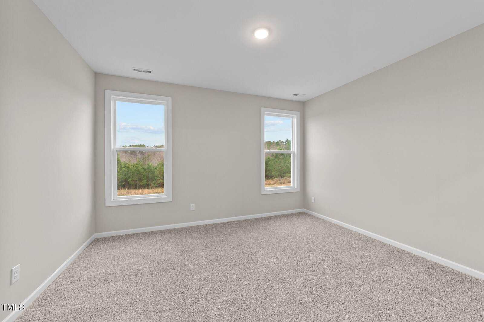 Empty room with beige carpet, light gray walls, and two tall windows letting in natural light. Ceiling is white with a recessed light fixture. The windows show an outdoor view with greenery and sky.