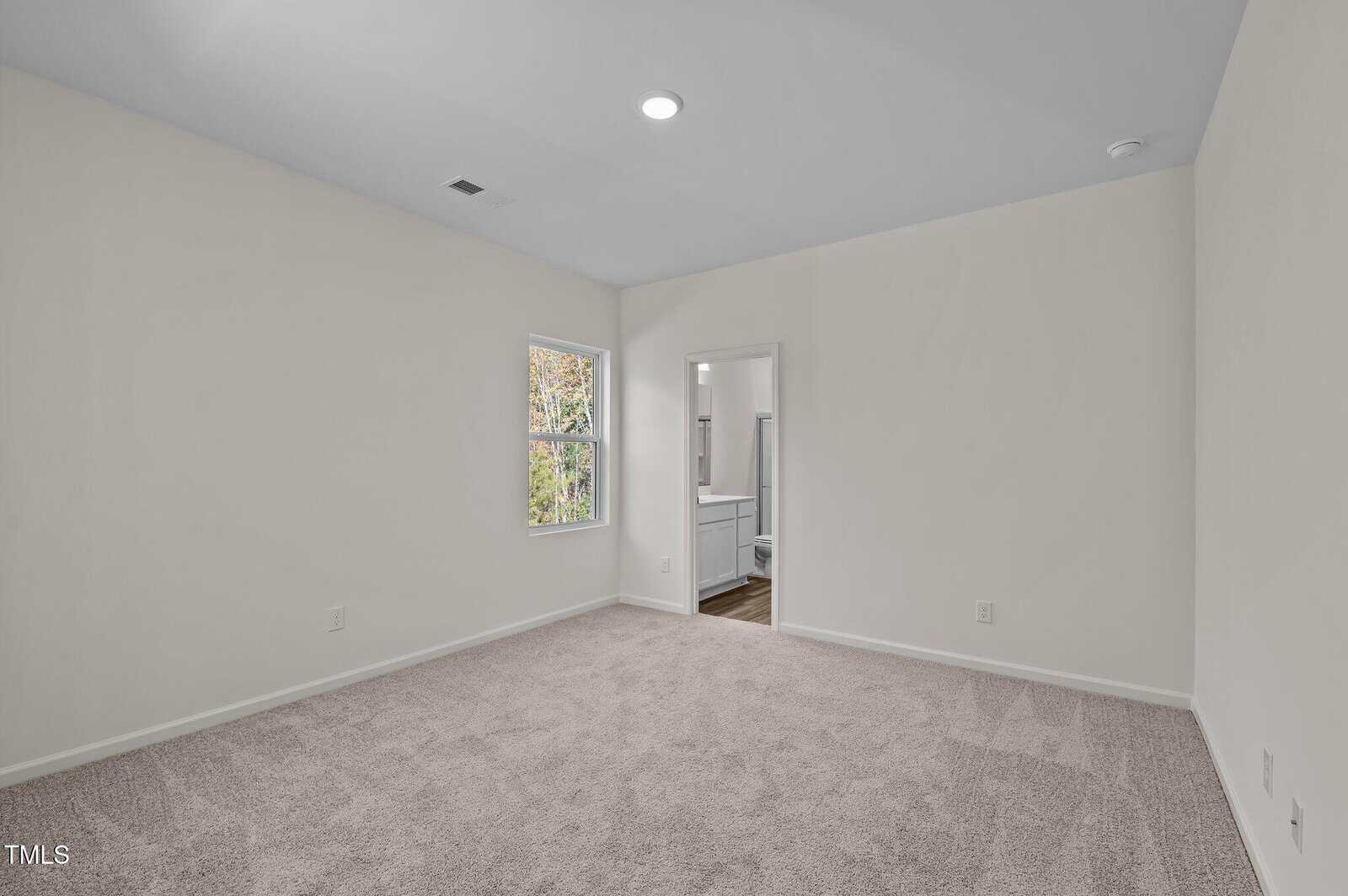 A spacious, empty room with light beige carpet, white walls, a window showing greenery, and a doorway leading to a bathroom with visible vanity and mirror. Ceiling light is on.