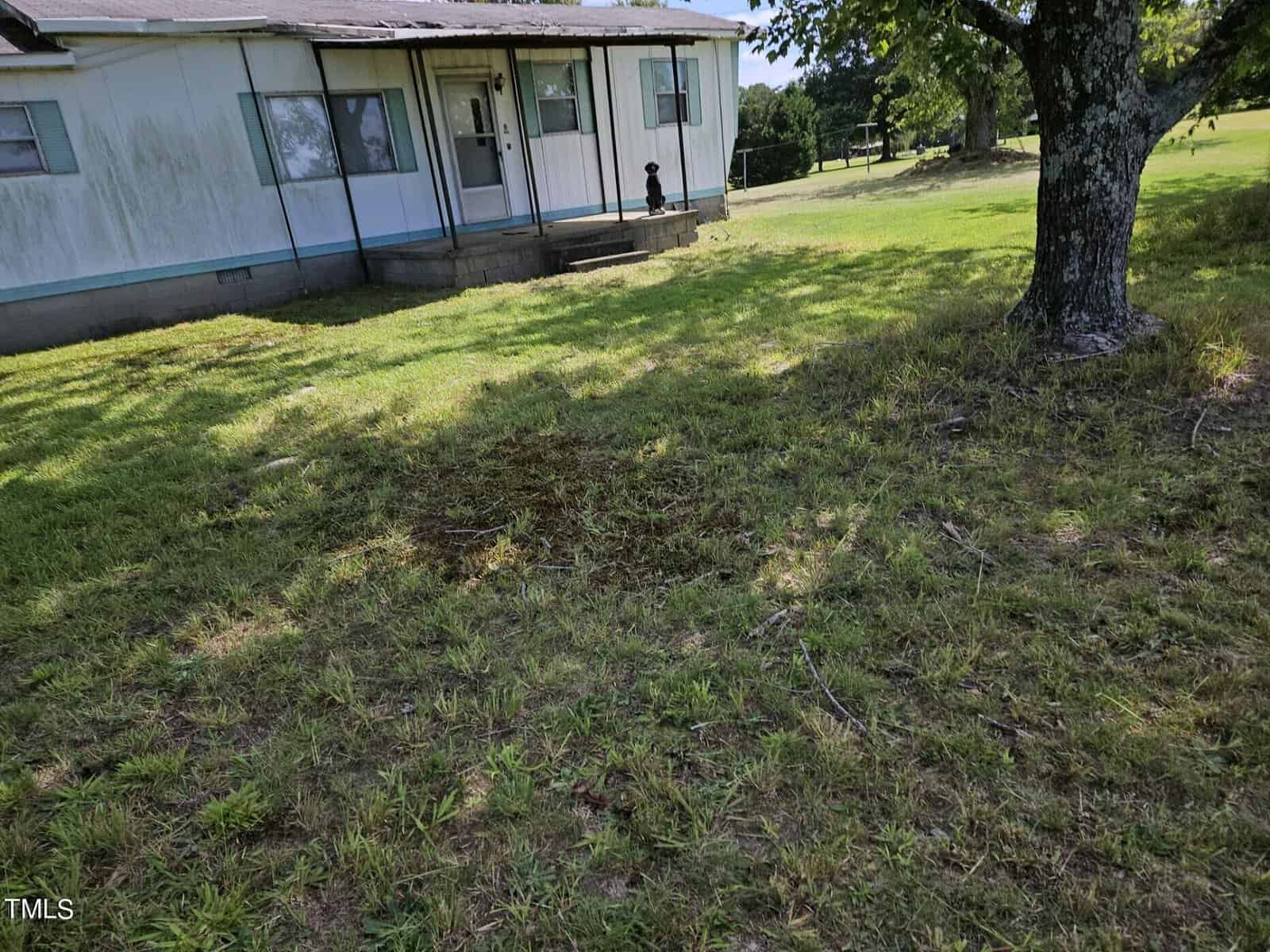 A small, white, single-story house with a covered porch sits on a grassy lawn. Steps lead from the porch to the yard. A large tree stands in the foreground. There is a dog sitting on the porch, appearing to look out towards the yard.