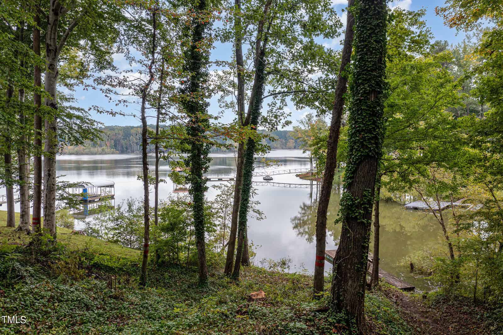 A serene lake view through a forest of tall trees. Two docks extend into the calm water, one with a covered boat slip. The scene is tranquil with reflections on the water, surrounding greenery, and a clear, partly cloudy sky overhead.