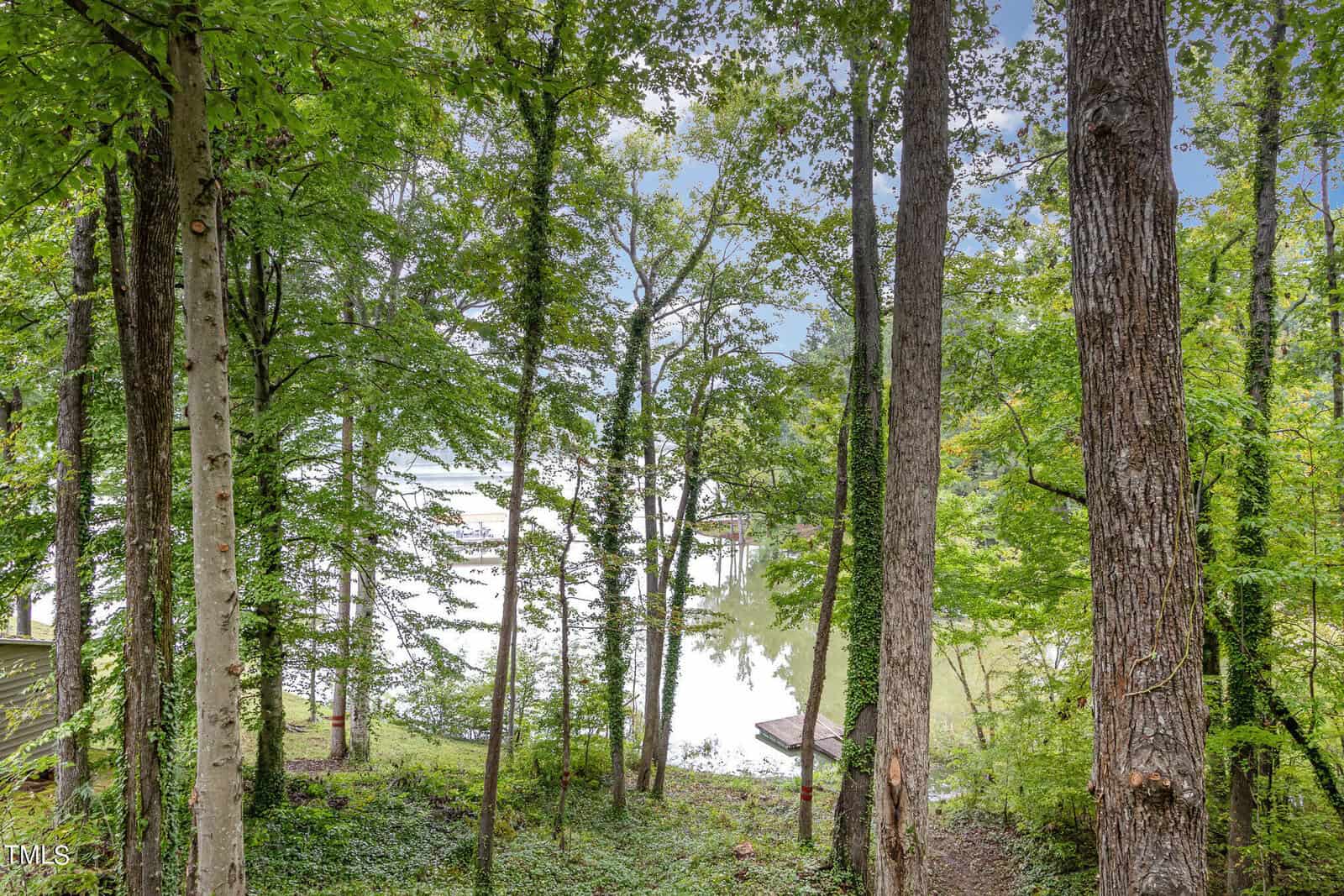 A serene lakeside scene with a tranquil body of water partially visible through a dense forest of tall, leafy trees. Sunlight filters through the foliage, casting dappled light on the forest floor. The sky is clear with some scattered clouds.
