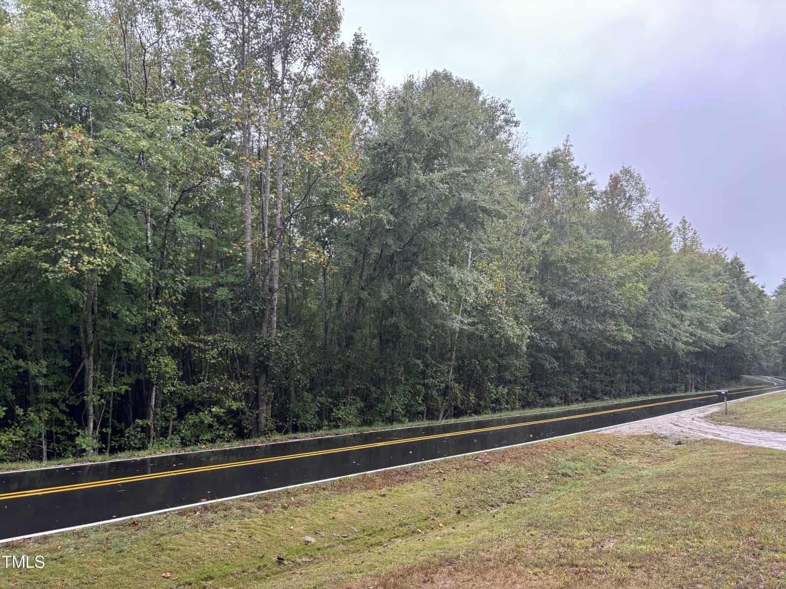 A wet, empty expanse known as 00 Tungsten Mine Road is bordered by dense green trees under a cloudy sky, with grass lining the shoulder.