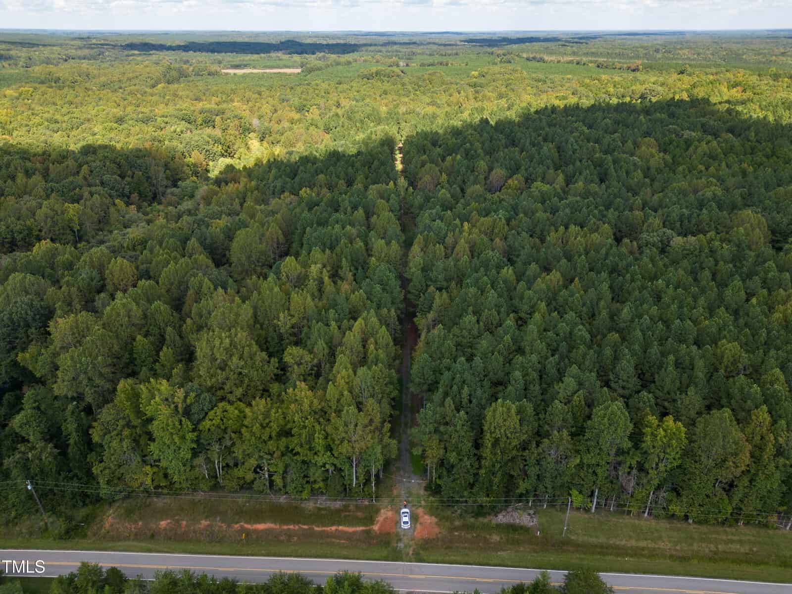 Aerial view of a densely forested area with a long, straight dirt path cutting through the trees. A single parked car is visible at the path's entrance, near a road bordered by grass. The sky is partly cloudy.