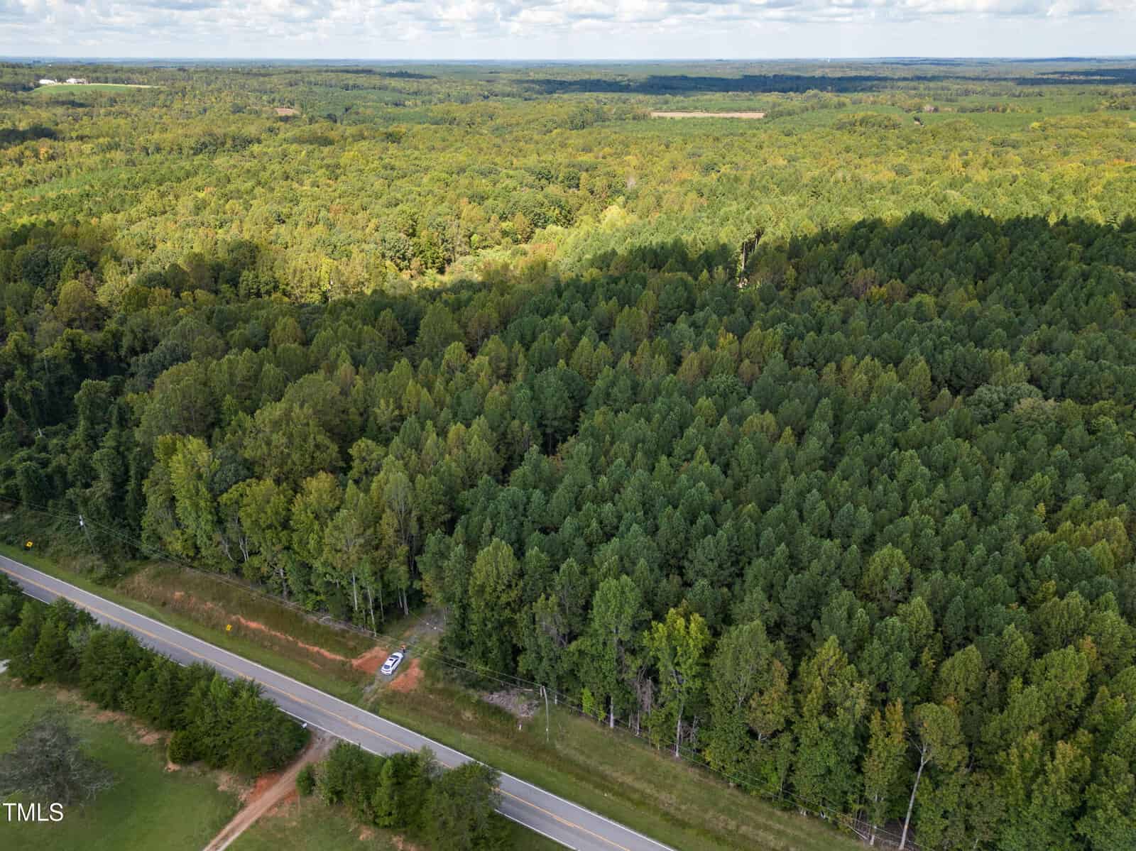 Aerial view of a lush green forest with a road running along the bottom edge. A car is parked beside the road. A vast expanse of trees stretches into the distance under a partly cloudy sky.