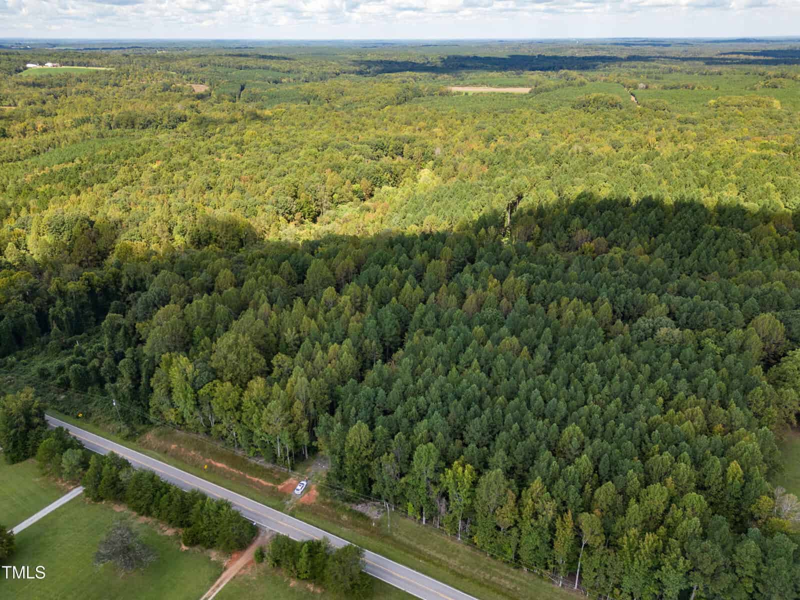 Aerial view of a vast, lush green forest with a road cutting through the foreground. The landscape stretches to the horizon under a partly cloudy sky, with shadows cast over the trees.