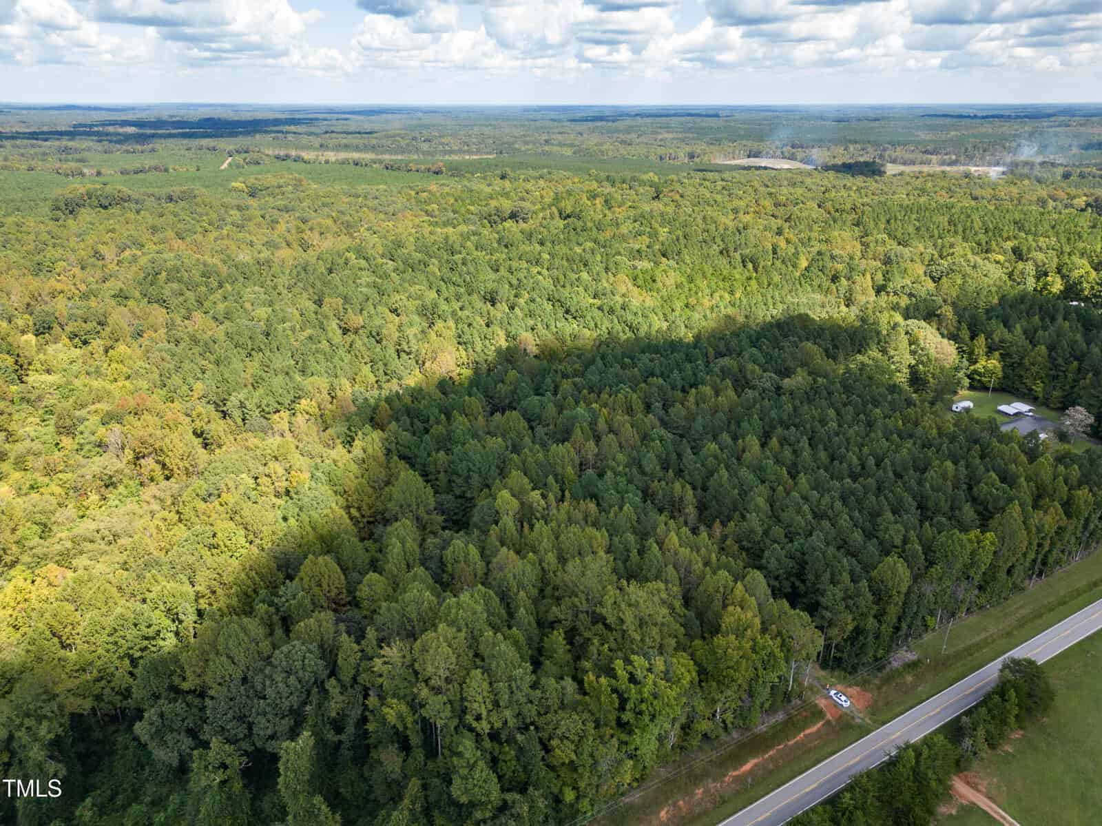 Aerial view of a vast forest landscape with a dense canopy of green trees under a blue sky with scattered clouds. A road runs along the bottom edge, with a few small structures visible on the right side of the image.