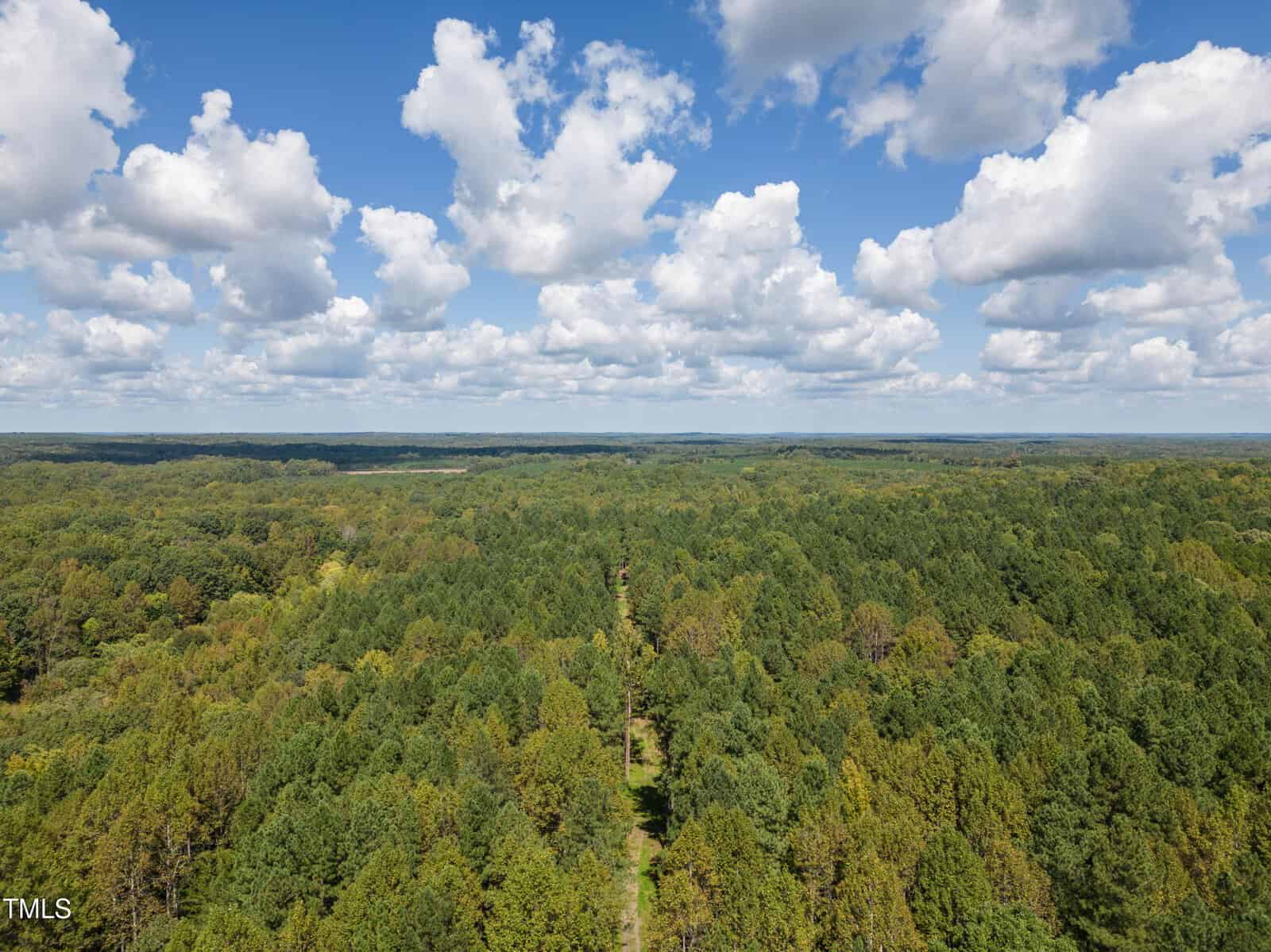 Aerial view of a vast green forest under a bright blue sky with scattered white clouds. A narrow path runs through the center of the lush landscape, stretching towards the horizon. The scene conveys a sense of peace and natural beauty.