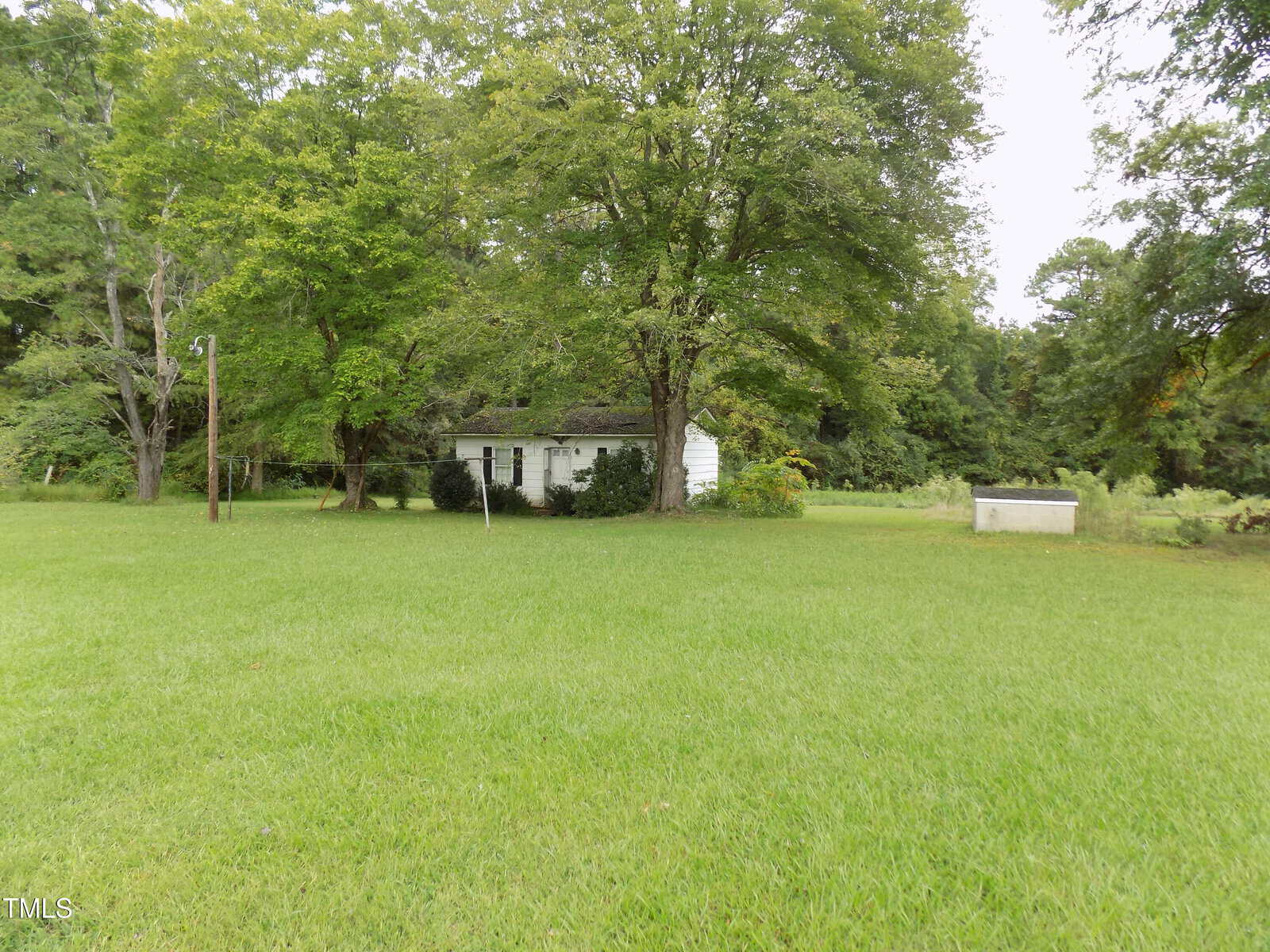 A small white house is partially obscured by large trees on a grassy lawn. There is a utility pole and a small white structure in the yard, and dense green foliage surrounds the area.