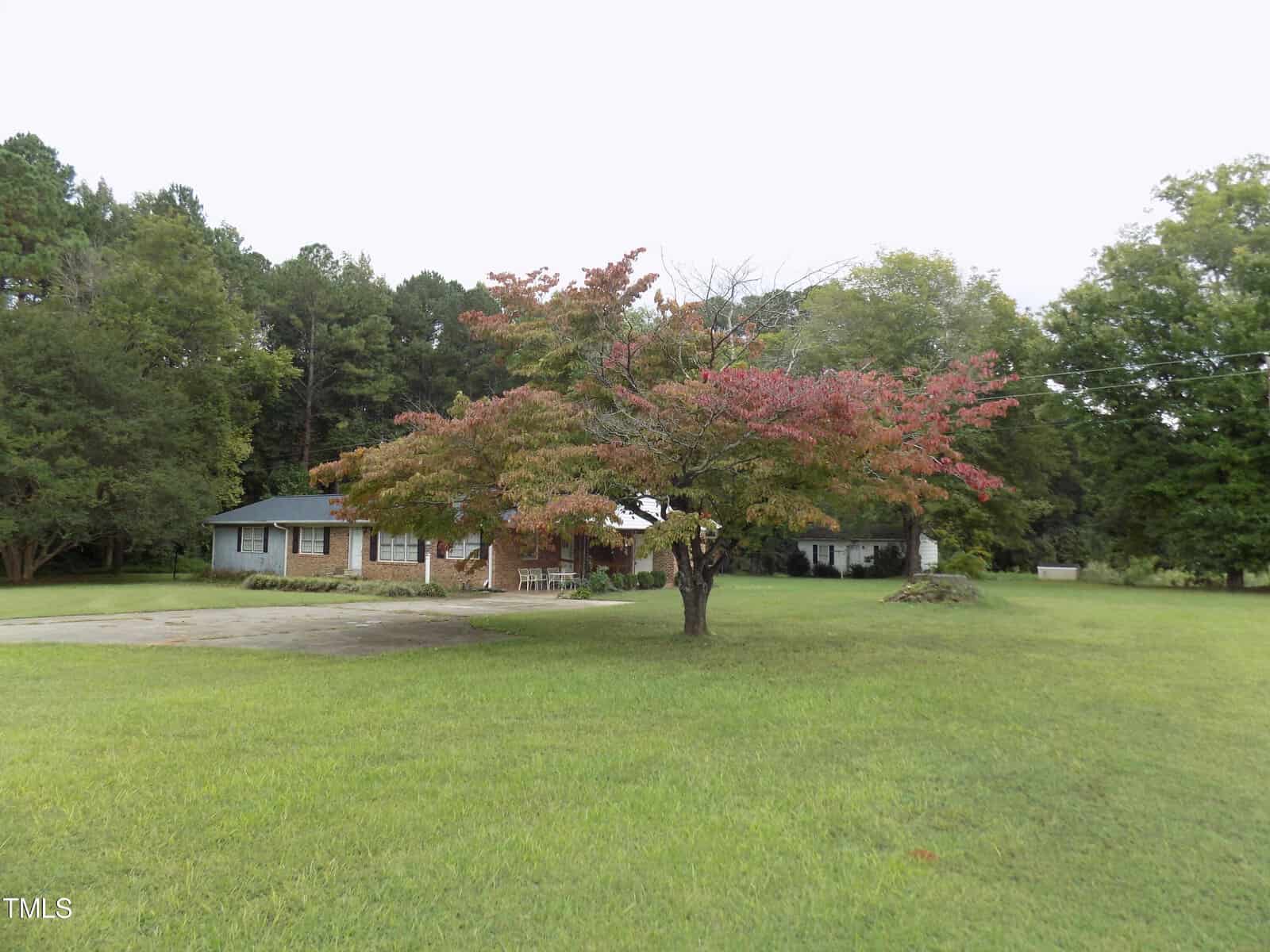 A single-story brick house with a gray roof is partially visible behind a large tree with red and green leaves, surrounded by a grassy yard and bordered by dense trees.