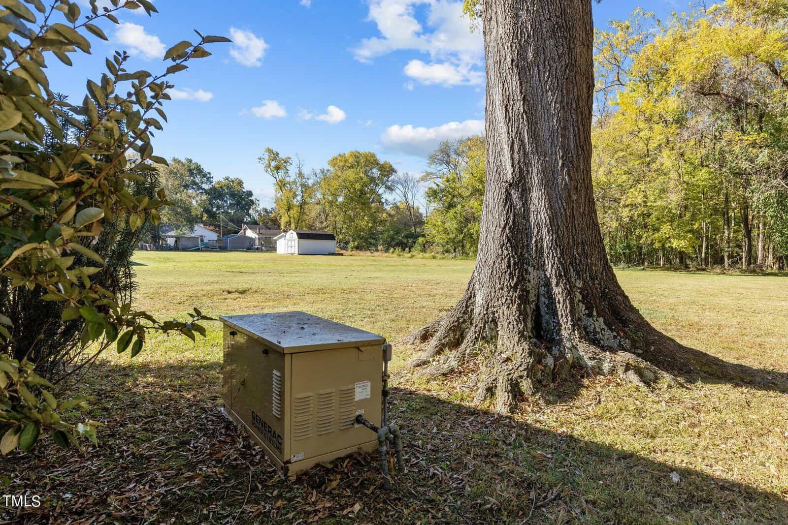 A large tree stands on a grassy field under a blue sky with scattered clouds. Nearby, a tan utility box is positioned at the base of the tree. Bushes and more trees are visible in the background, along with a small building.
