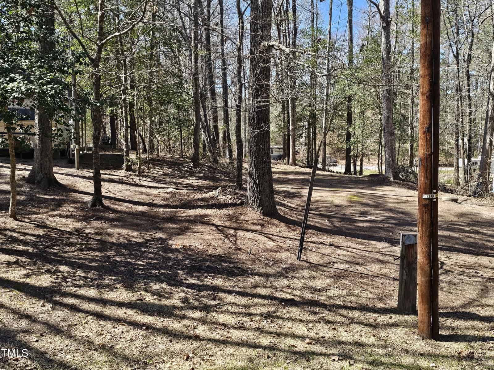 A wooded outdoor area with scattered trees and patches of sunlight on the ground; a wooden utility pole stands in the right foreground, and a house is partially visible on the left side.