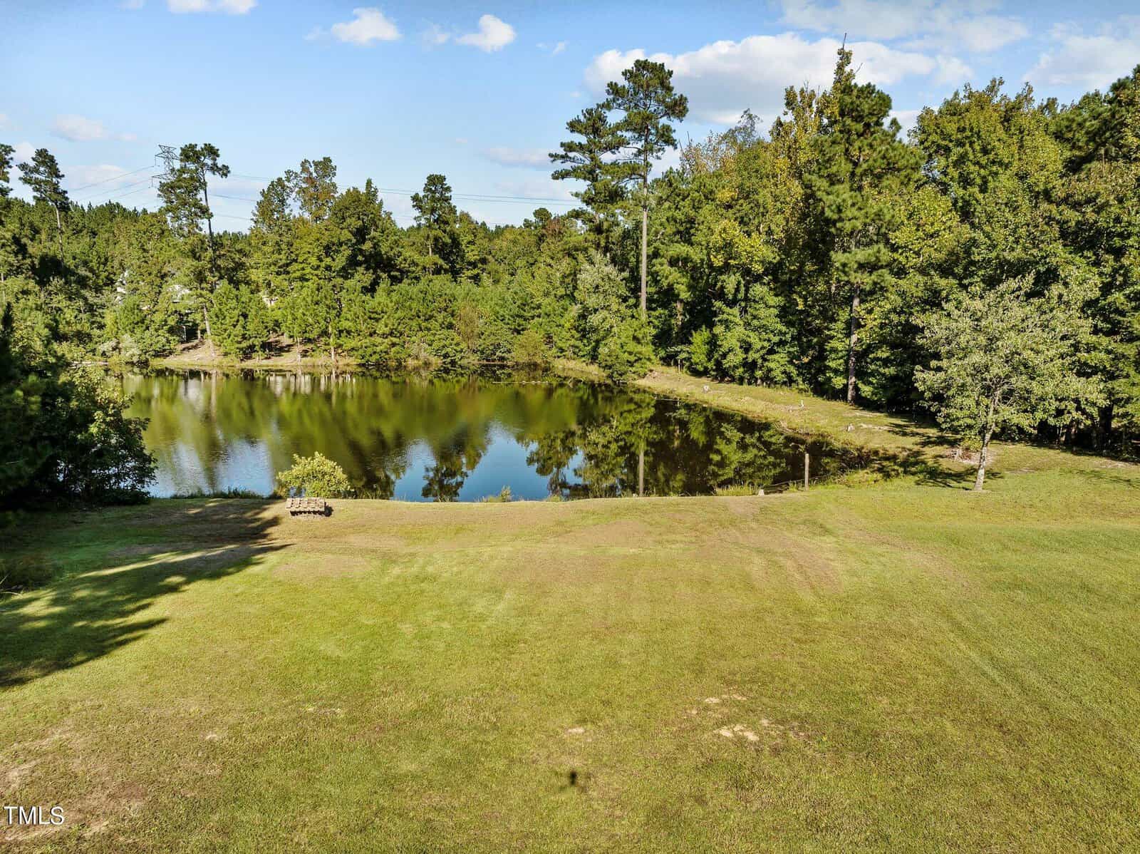 A serene pond surrounded by lush greenery and trees, reflecting the blue sky with scattered clouds. The grassy area in the foreground leads to the water's edge, creating a peaceful natural scene.