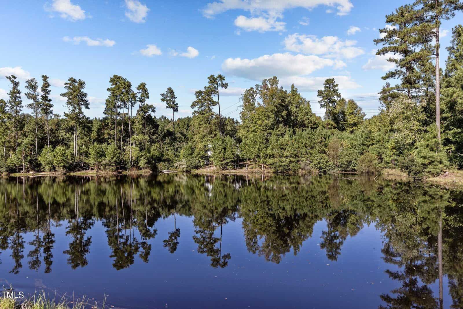 A serene lake reflects tall trees under a clear blue sky with scattered clouds. The lush greenery surrounds the calm water, creating a peaceful and scenic landscape.