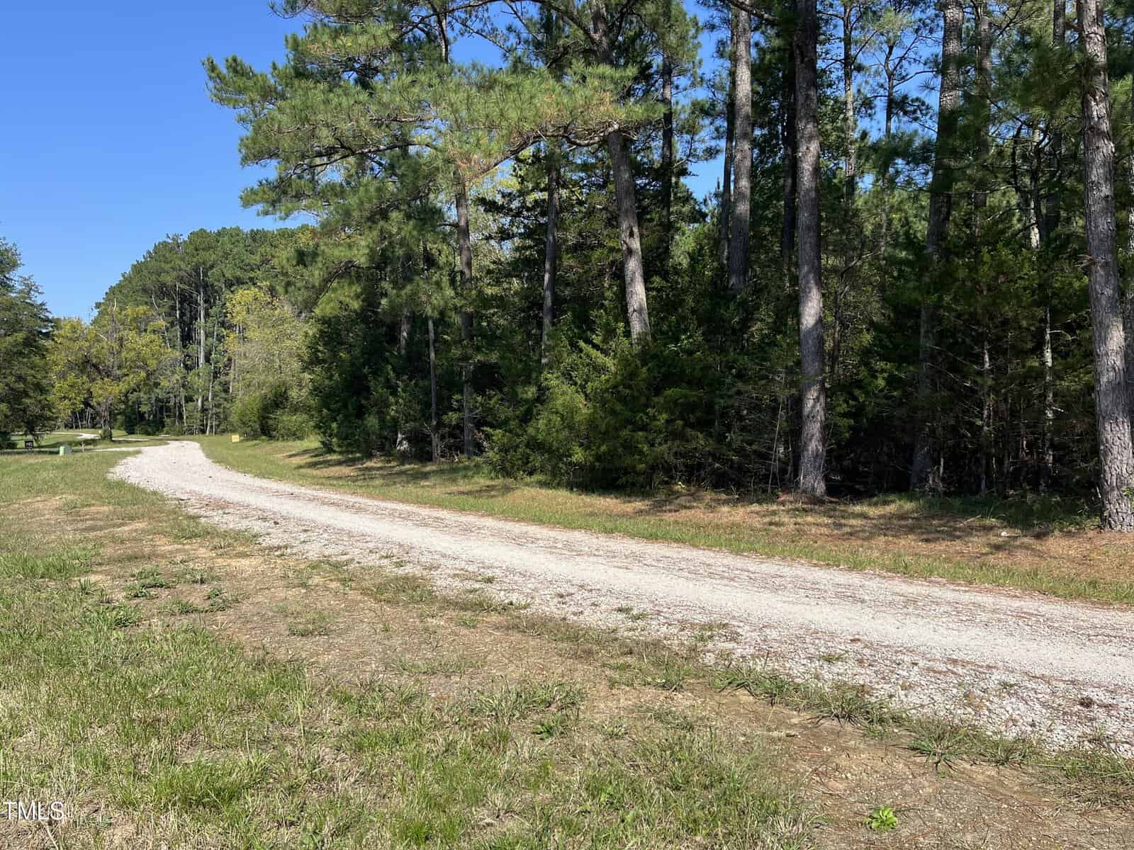 A narrow dirt path curves through a grassy area, bordered by tall, lush green trees under a clear blue sky.
