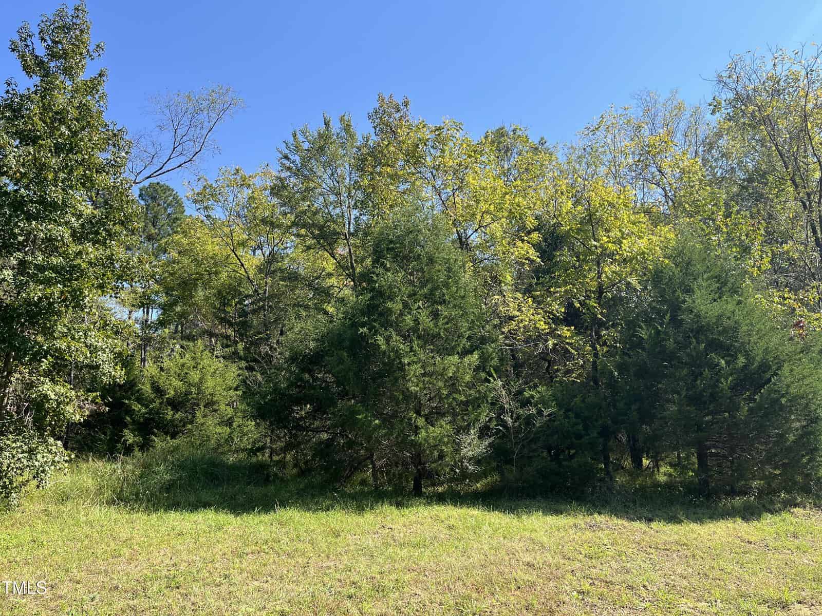 A serene landscape featuring a lush green meadow in the foreground and a dense line of trees in the background under a clear blue sky.