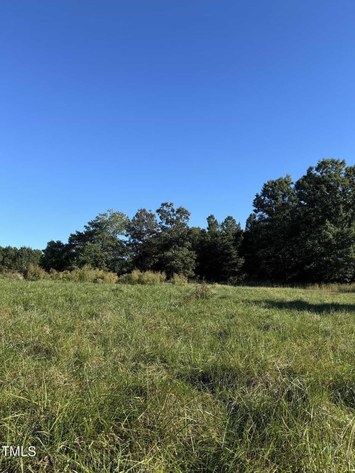 A green grassy field with trees lining the horizon under a clear blue sky, just off George Winston Road.