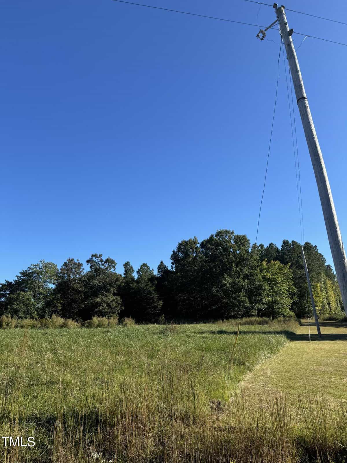 A tall utility pole stands in the foreground against a clear blue sky. In the background, there is a grassy field bordered by a line of trees. The image depicts a rural landscape with minimal structures.