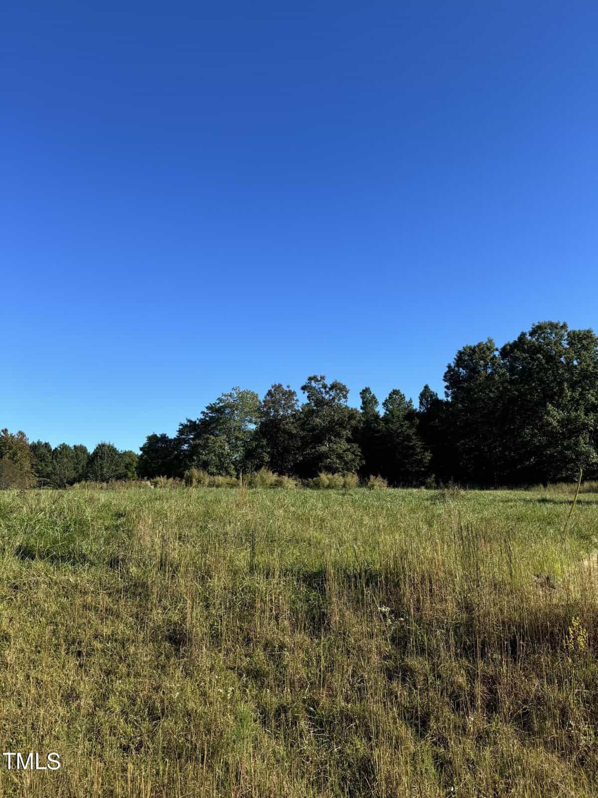 A grassy field under a clear blue sky. The field is surrounded by a line of trees in the background. The landscape appears sunny and peaceful.