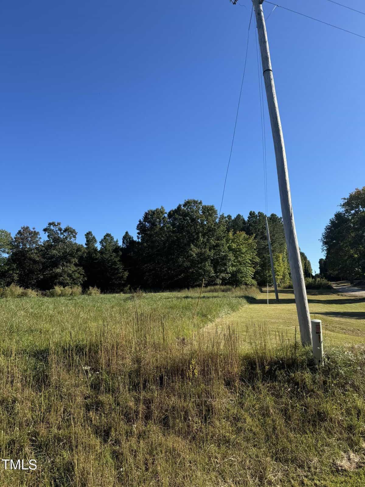 A rural scene with a grassy field in the foreground, bordered by a line of trees. A tall utility pole with power lines stands on the right against a clear blue sky. A narrow path runs alongside the field.