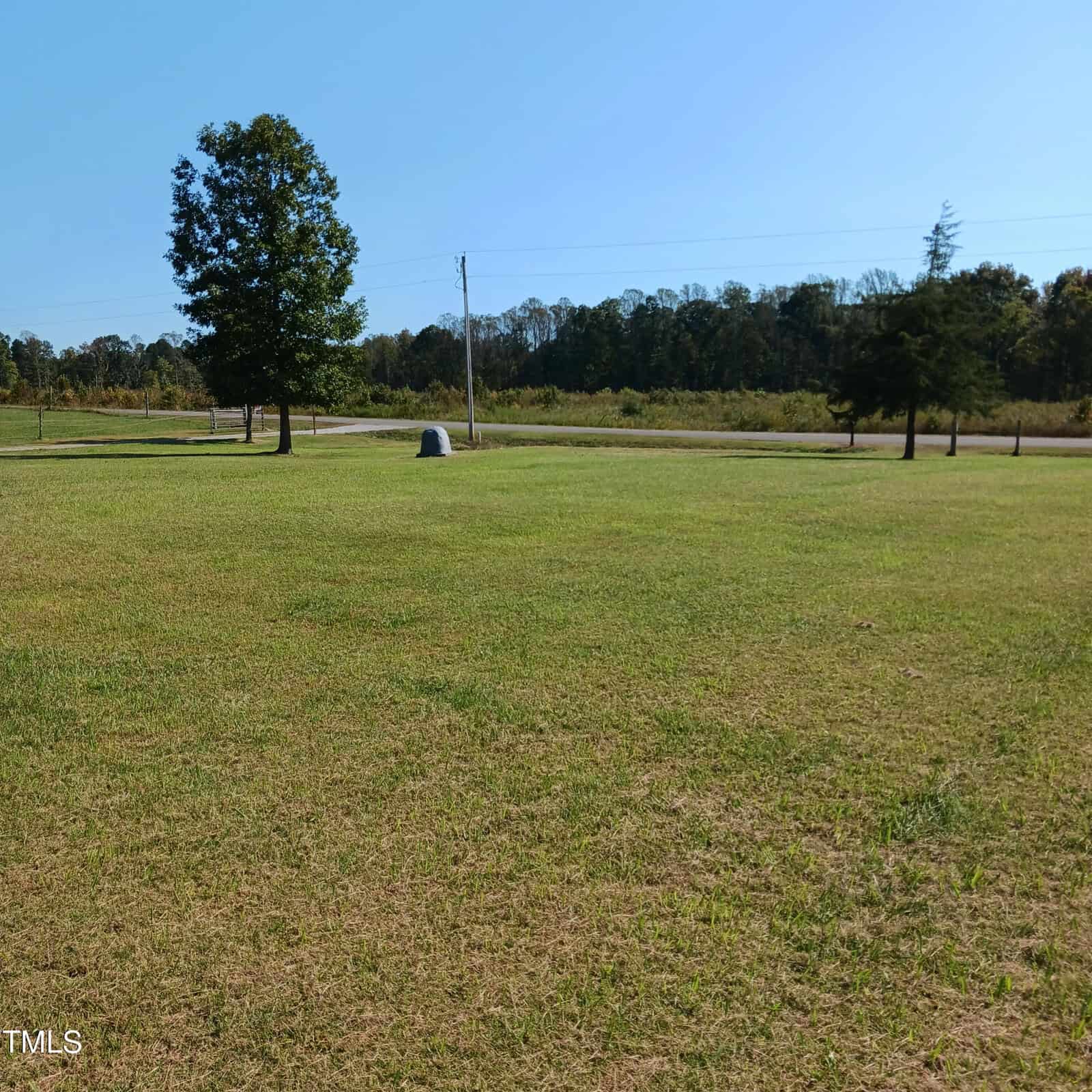 A sunny day on an open grassy field with a few scattered trees and a clear blue sky. A road runs along the background, bordered by more trees and a small bush in the distance.