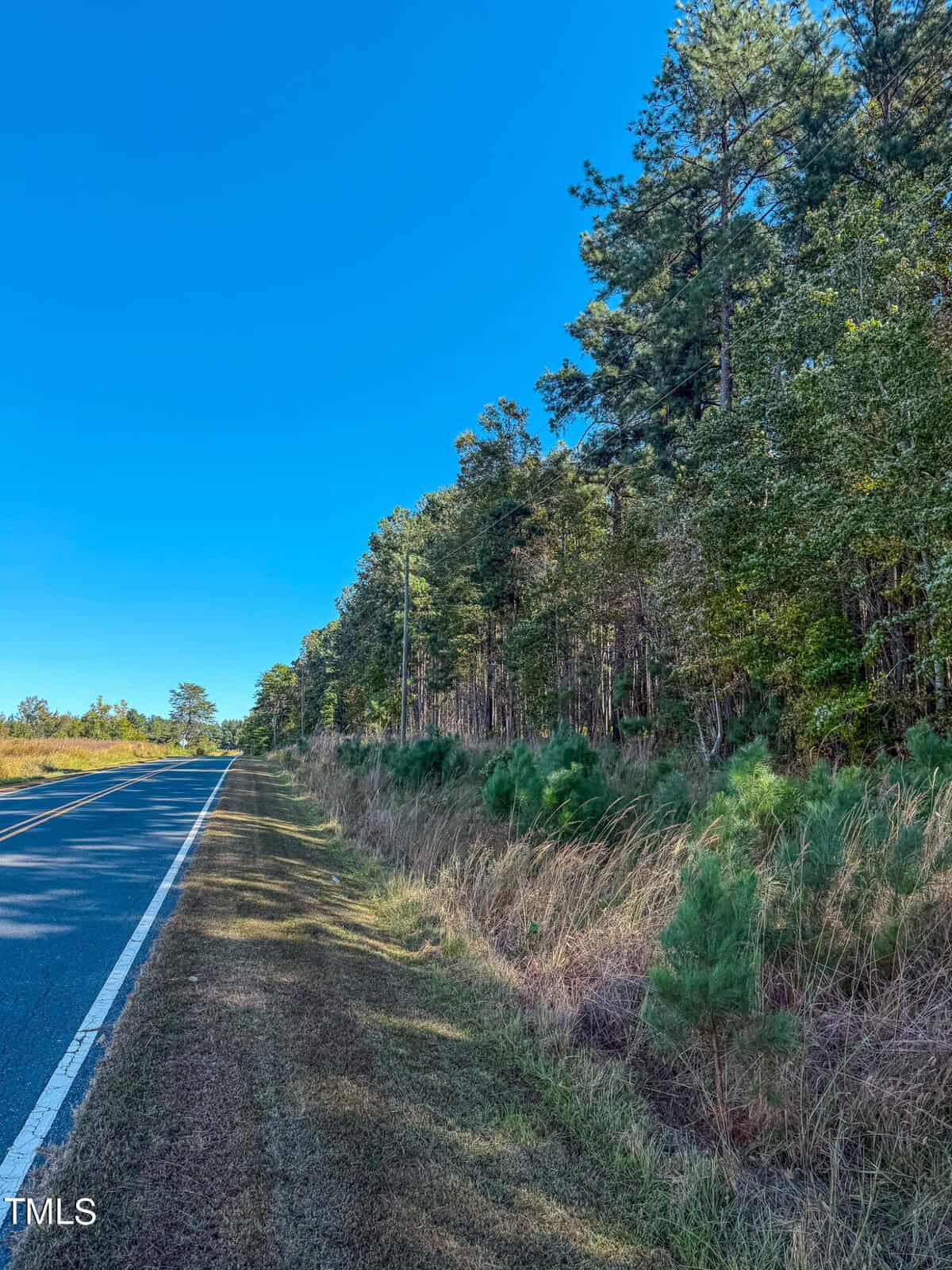 A scenic road curves alongside a dense forest under a clear blue sky. The road is bordered by tall trees and lush greenery, creating a serene and peaceful atmosphere.