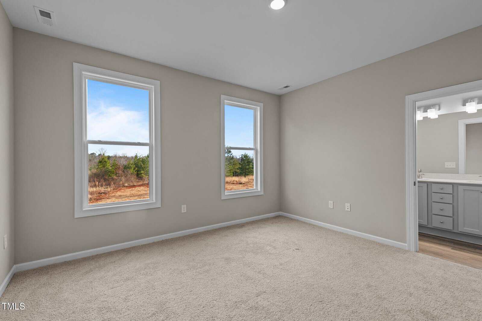 Empty bedroom with beige carpet, light gray walls, and two large windows showing an outdoor landscape. An open doorway leads to a bathroom with a vanity, mirror, and overhead lighting. Ceiling has a recessed light.