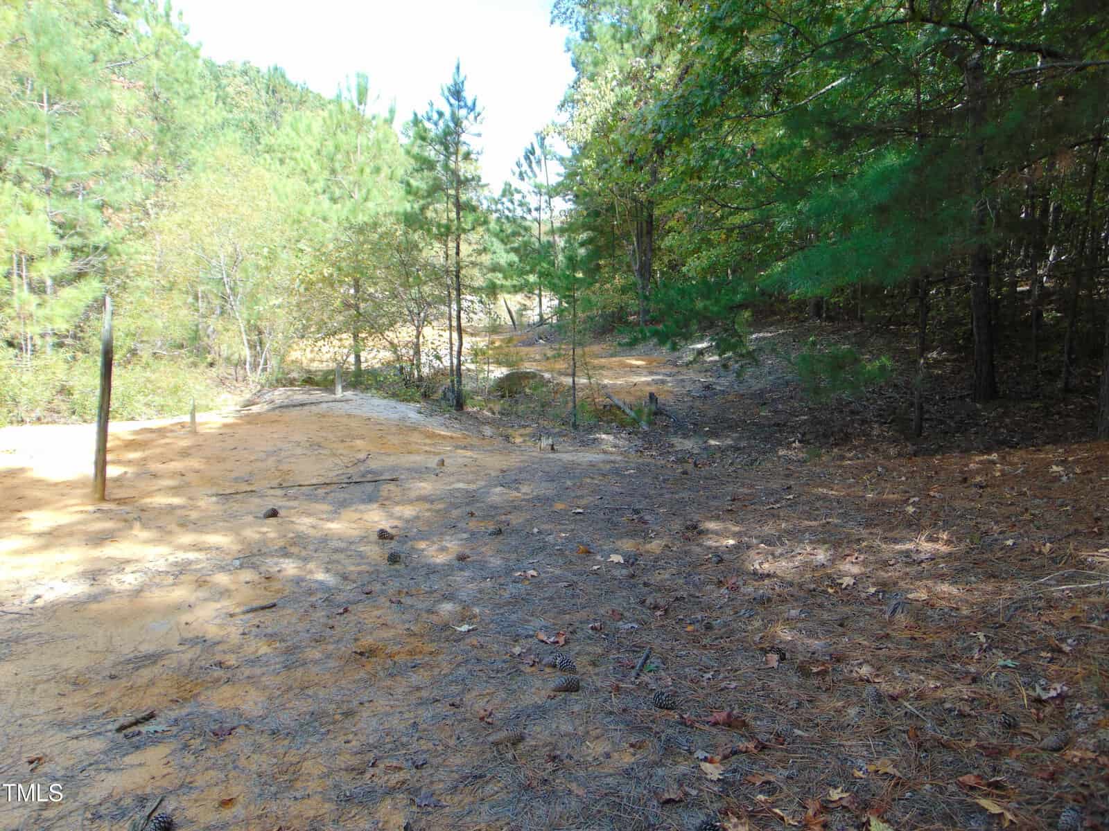 A sandy path transitions into a forested area with scattered pine trees under a clear sky. The ground is covered in fallen leaves, and the scene conveys a serene natural environment.