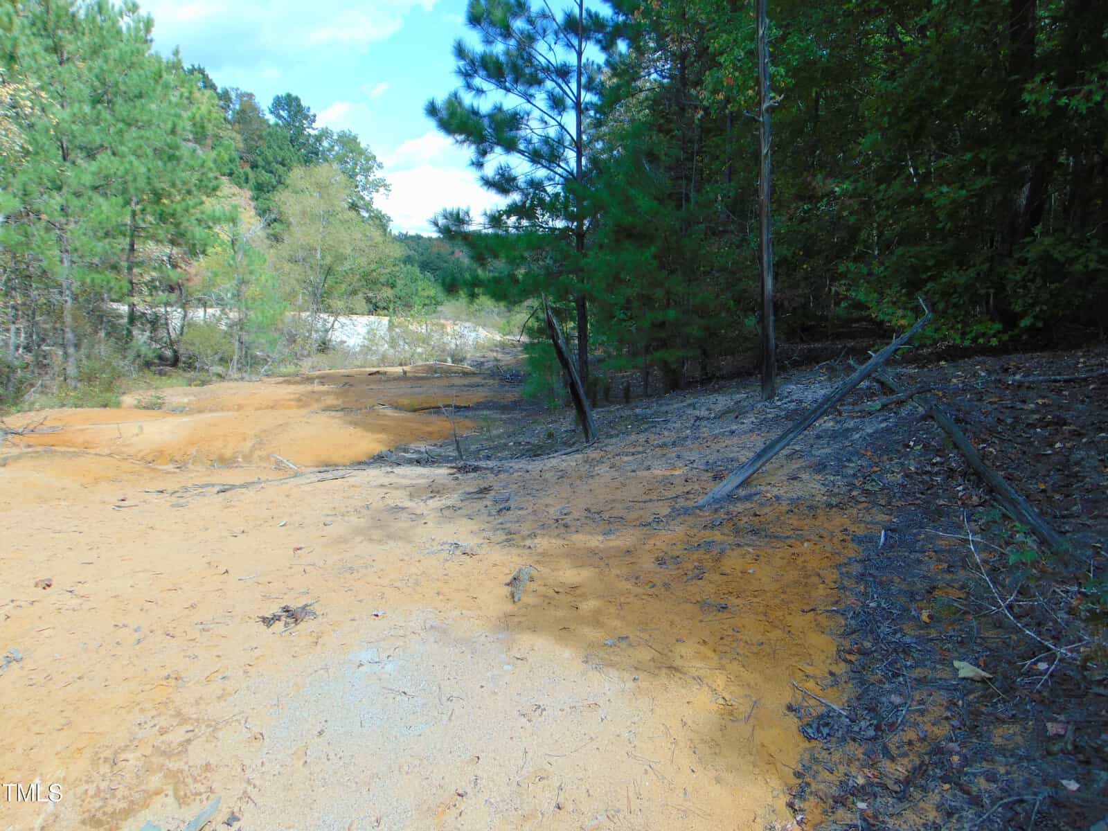 A sandy trail winds through a forested area with tall green pine trees on either side. The sky is partly cloudy, casting soft shadows on the ground. Fallen branches lie across the path in a natural setting.