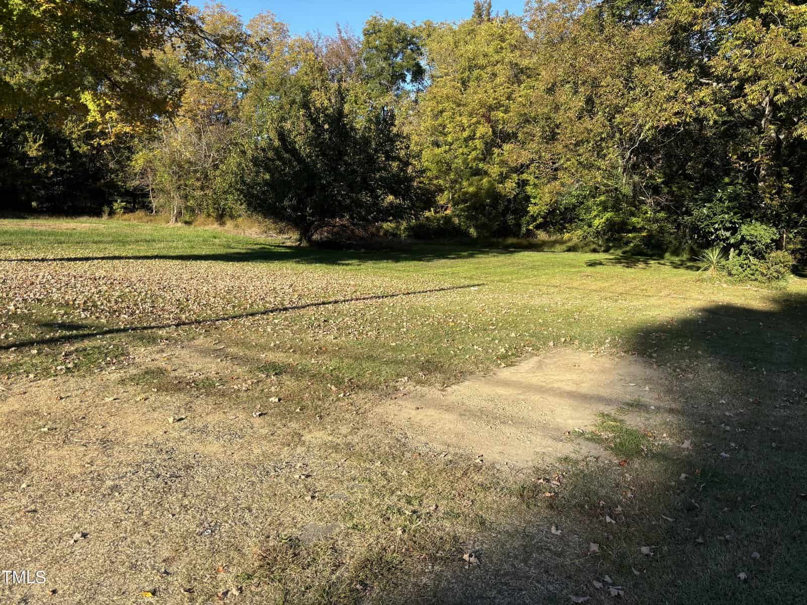 A sunlit grassy park area at 505 Raleigh Street is bordered by trees with a few shadows cast on the ground. Fallen leaves are scattered across parts of the grass, indicating an autumn setting. The blue sky is partially visible through the tree canopy in Oxford.