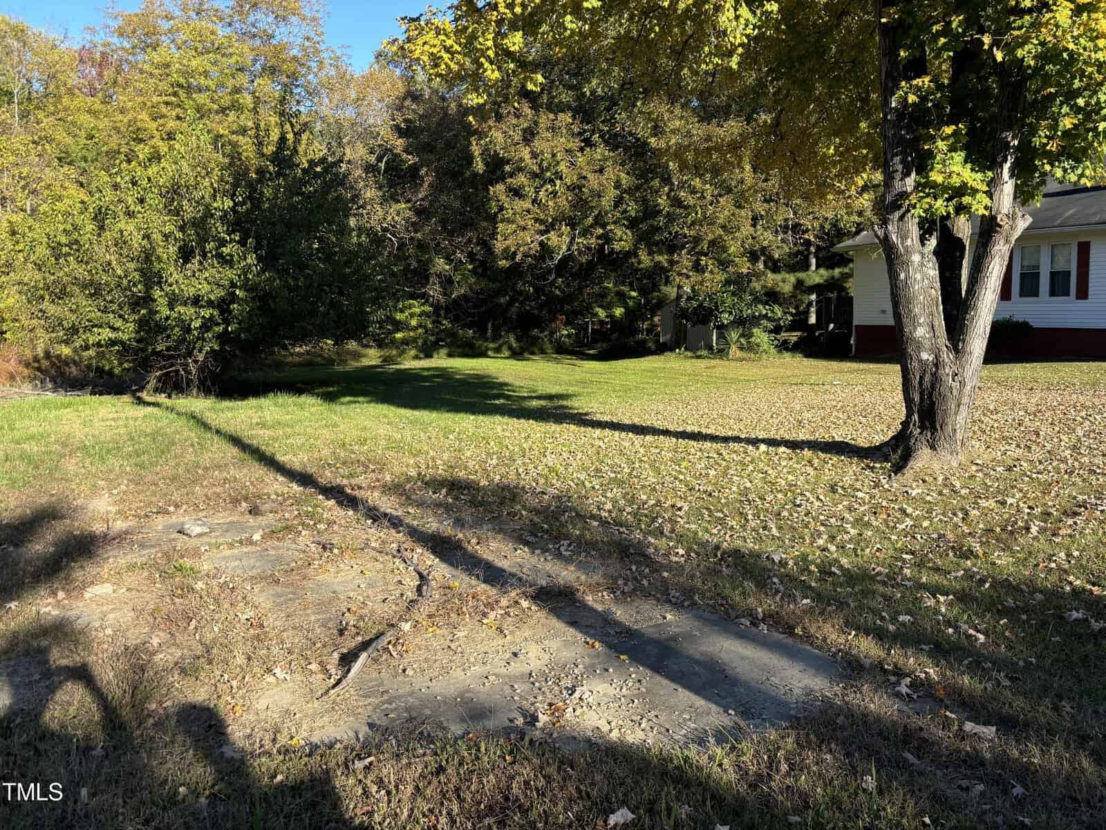 A grassy yard with a few scattered leaves and a large tree casting shadows on the ground. Part of a white house is visible on the right. In the background, there are more trees with green foliage under a clear blue sky.