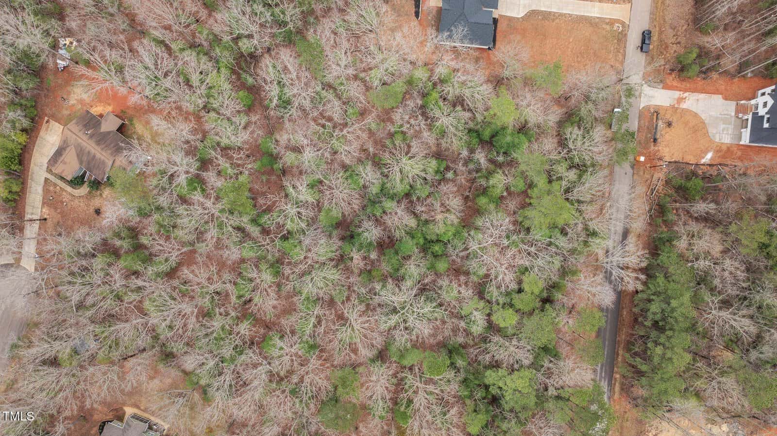 Aerial view of a wooded lot surrounded by partially developed residential areas, with houses, streets, and driveways visible at the edges; the trees are sparse with some green foliage.