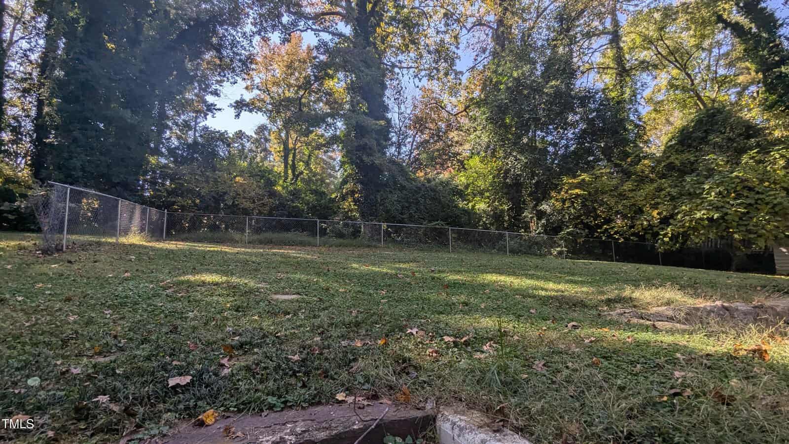 A grassy backyard bordered by a chain-link fence, surrounded by dense trees and foliage. Sunlight filters through the leaves, casting dappled shadows on the ground. The scene is tranquil and lush, with autumn colors beginning to show.