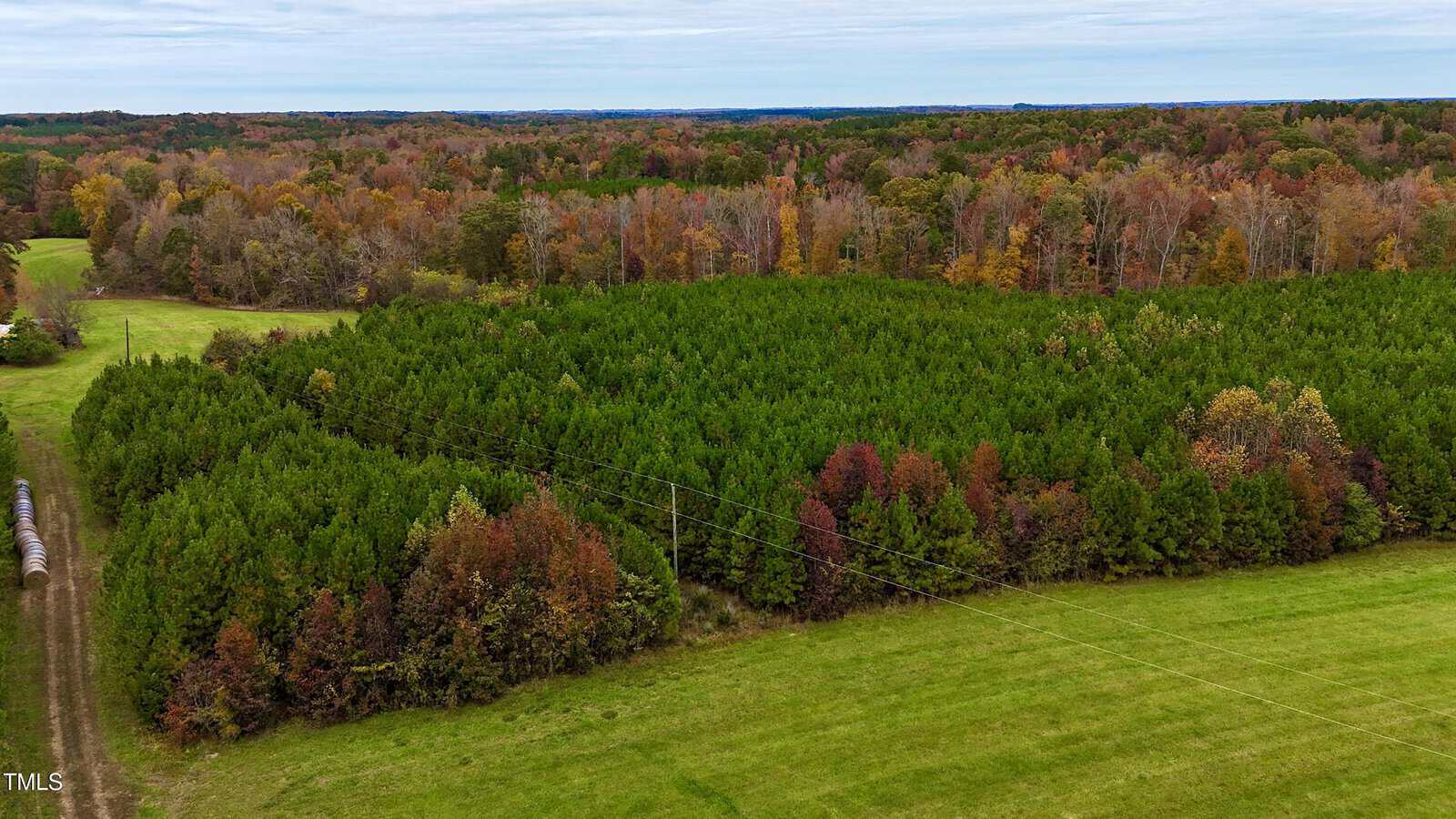 Aerial view of a large green forest bordered by trees with autumn foliage. The foreground shows a grassy field with a train track running along the left side. The sky is overcast.